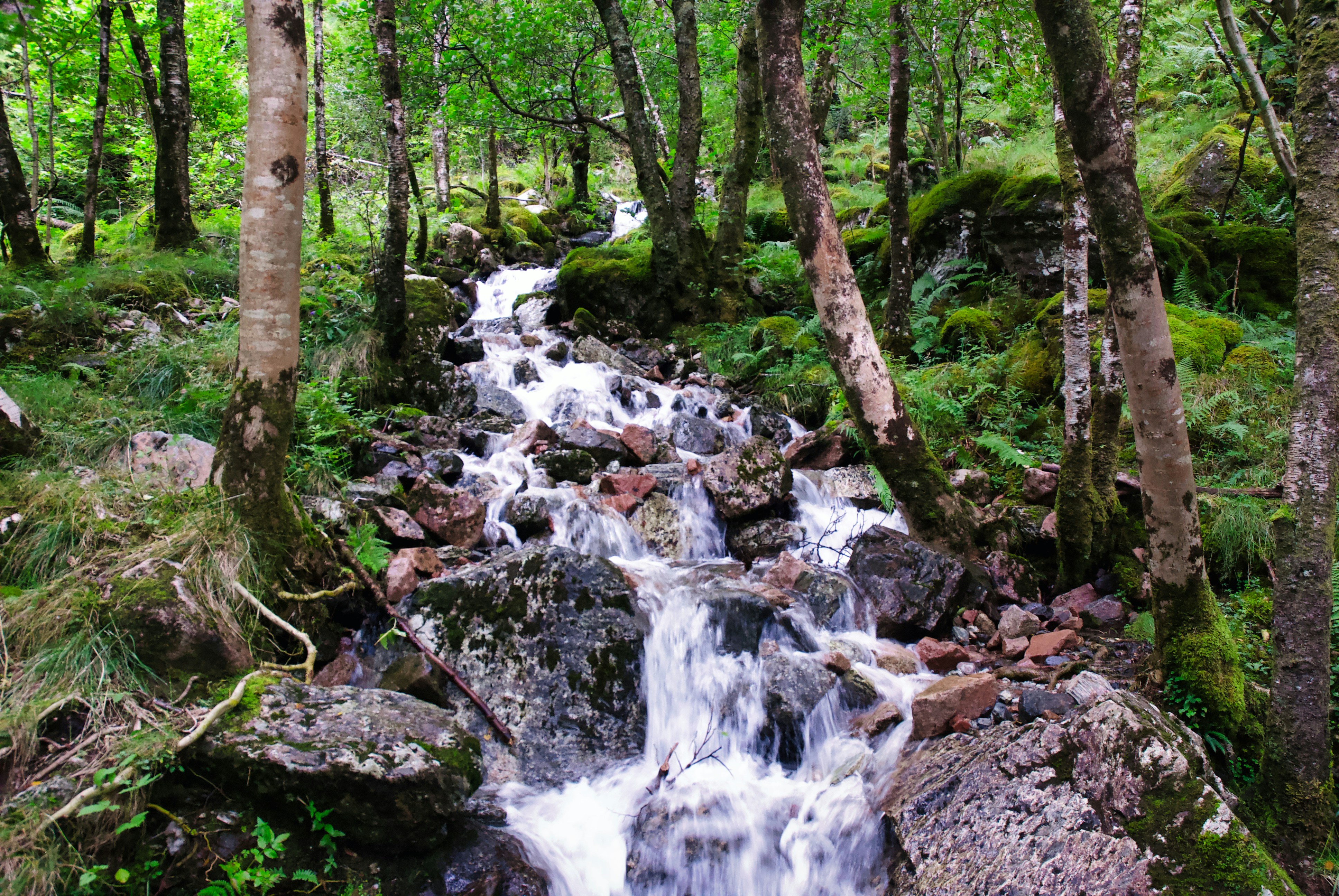 Photo by paws_and_prints