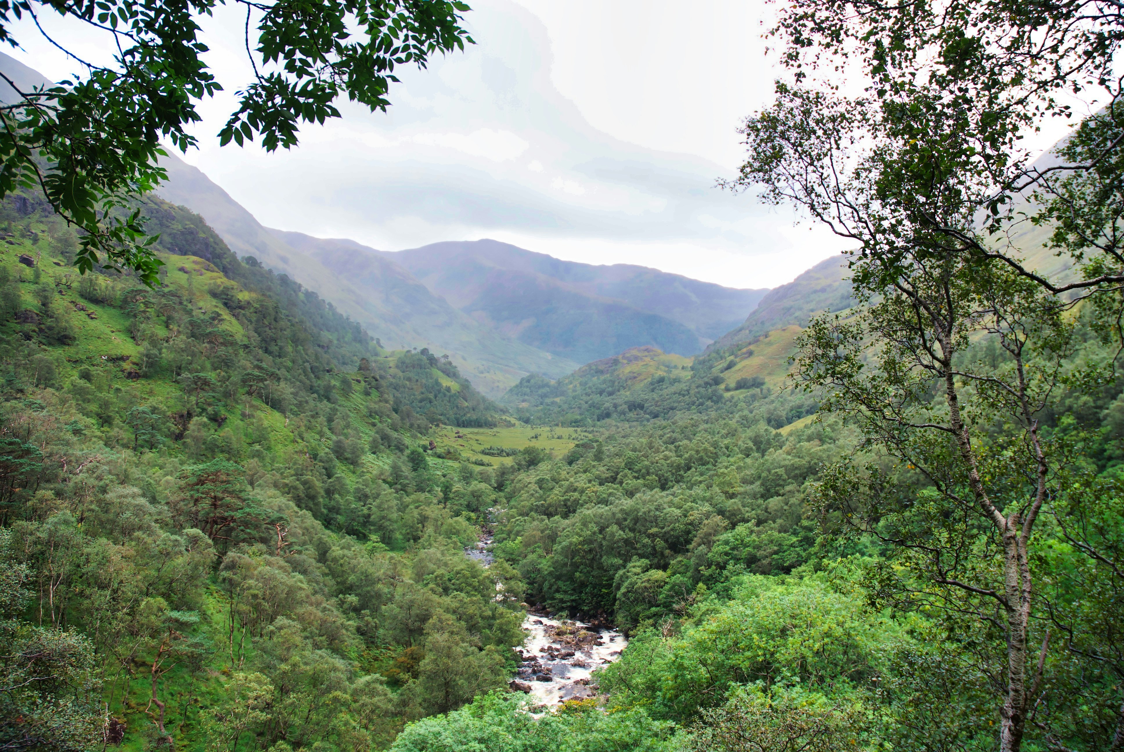 Photo by paws_and_prints