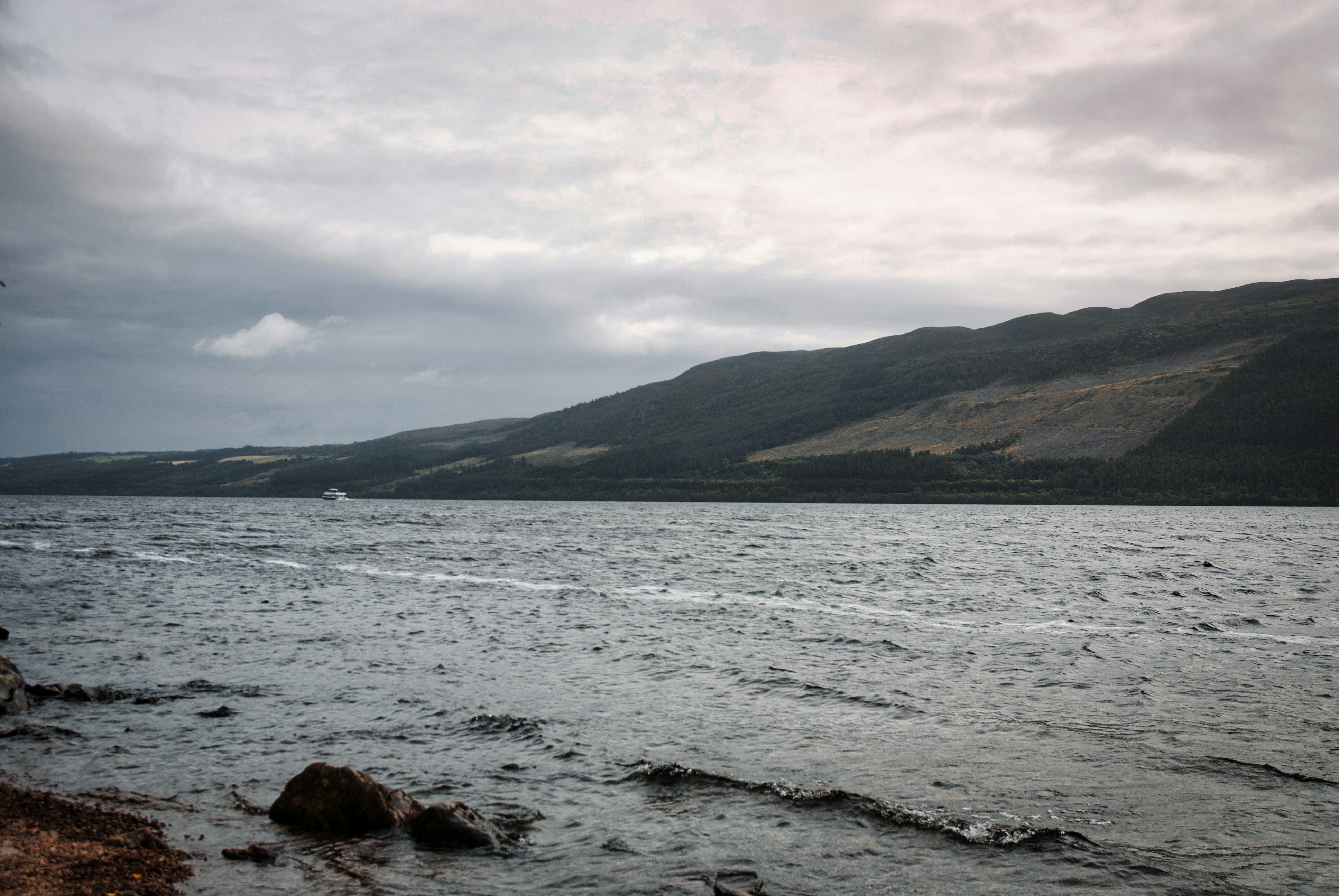 Photo by paws_and_prints