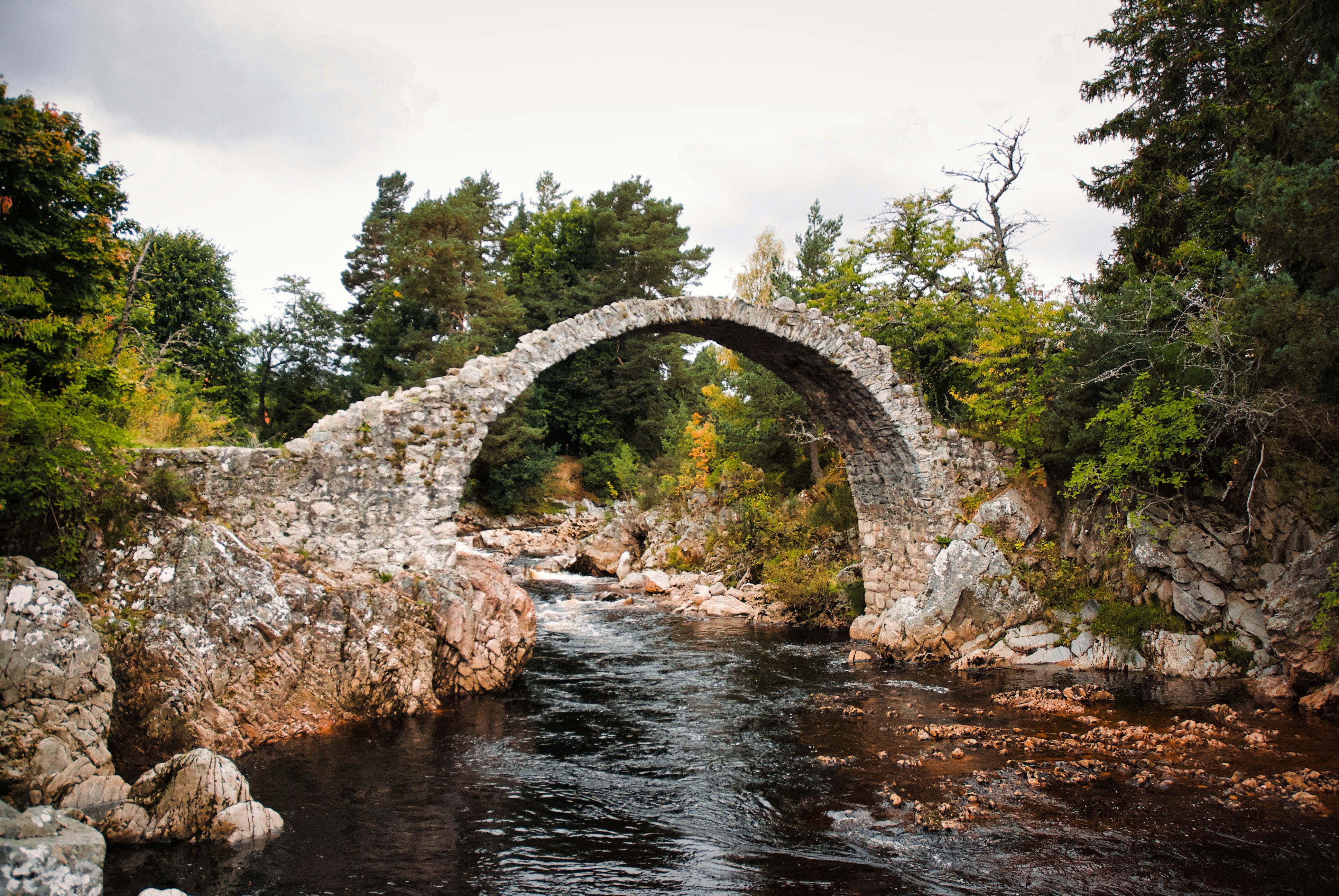 Photo by paws_and_prints