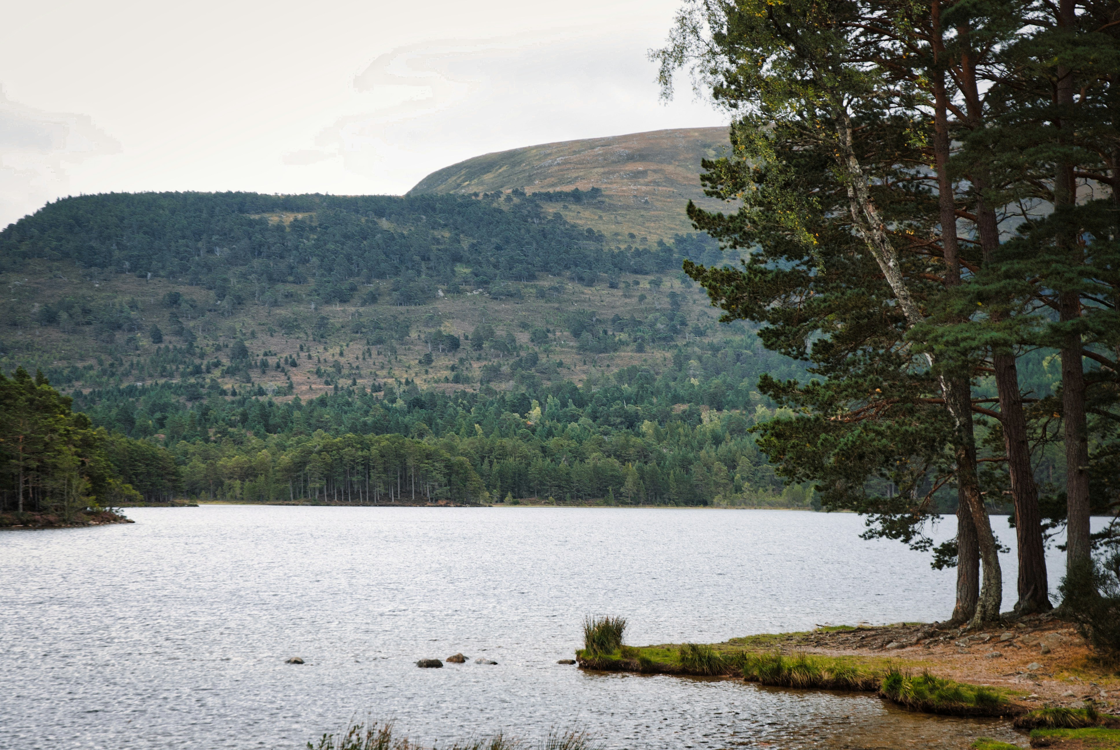 Broadford Recreation Area