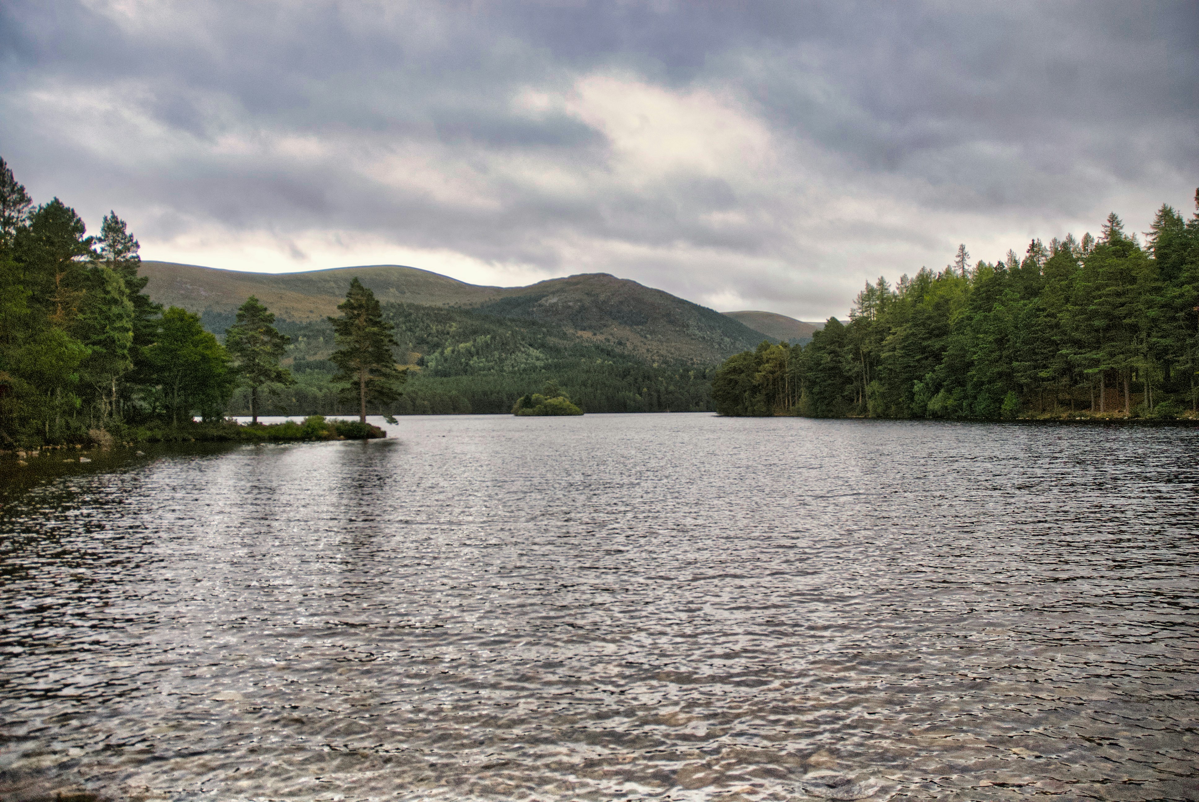 Photo by paws_and_prints