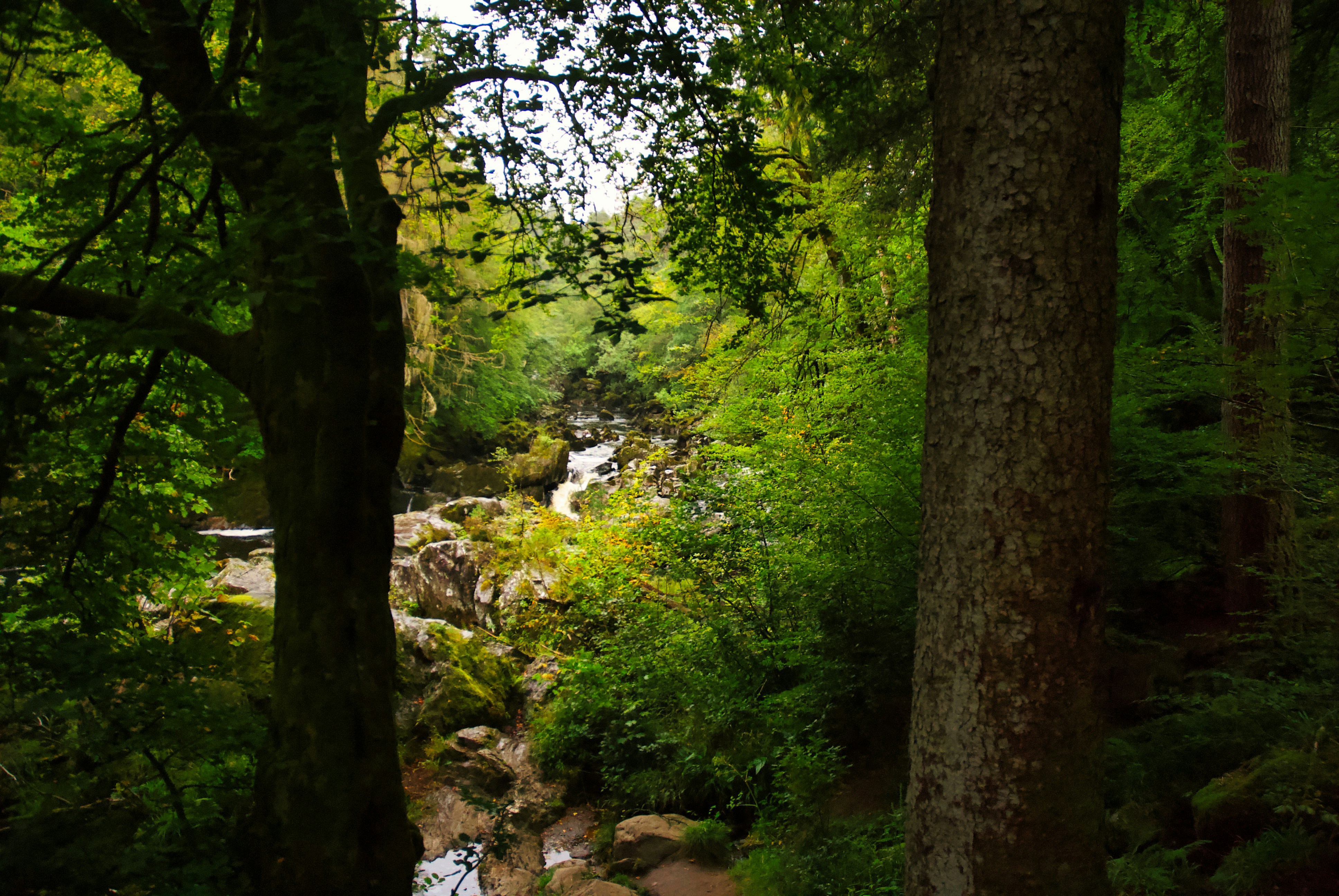 Photo by paws_and_prints