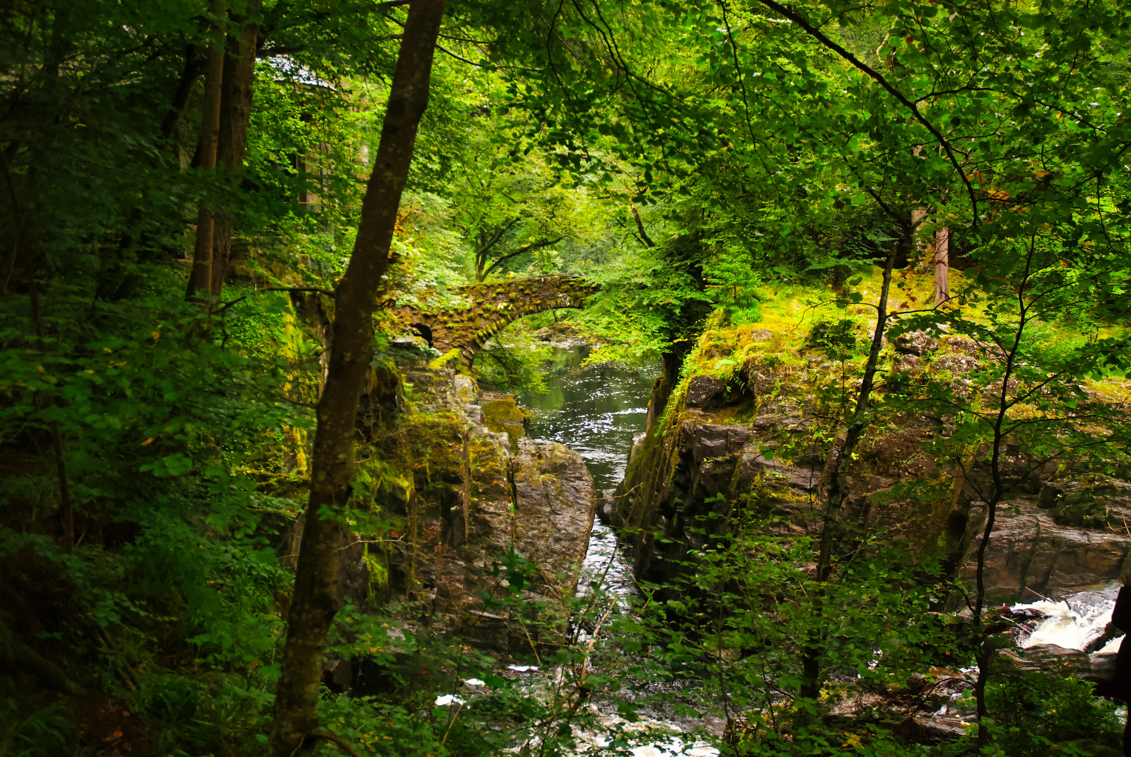 Photo by paws_and_prints