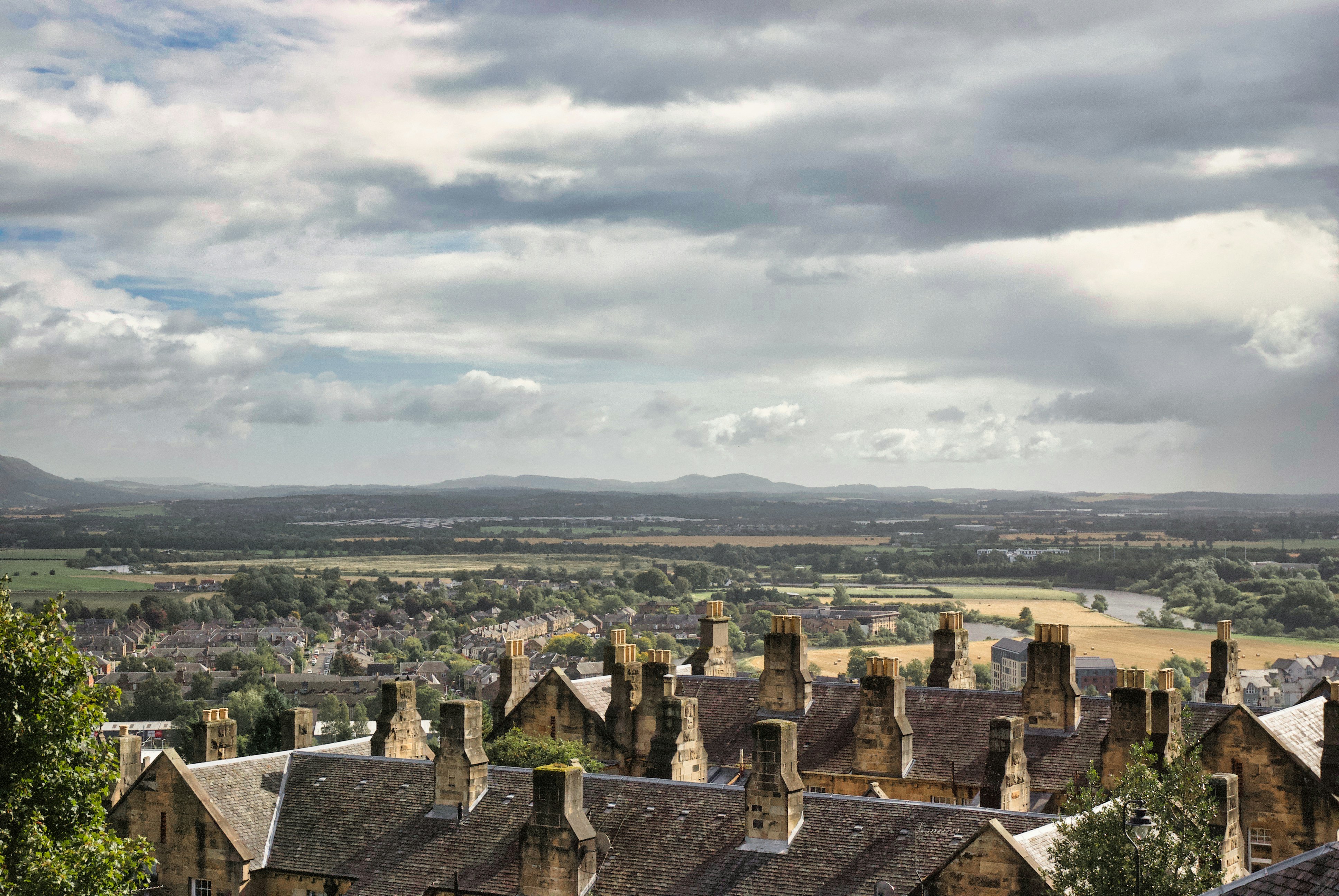 Photo by paws_and_prints