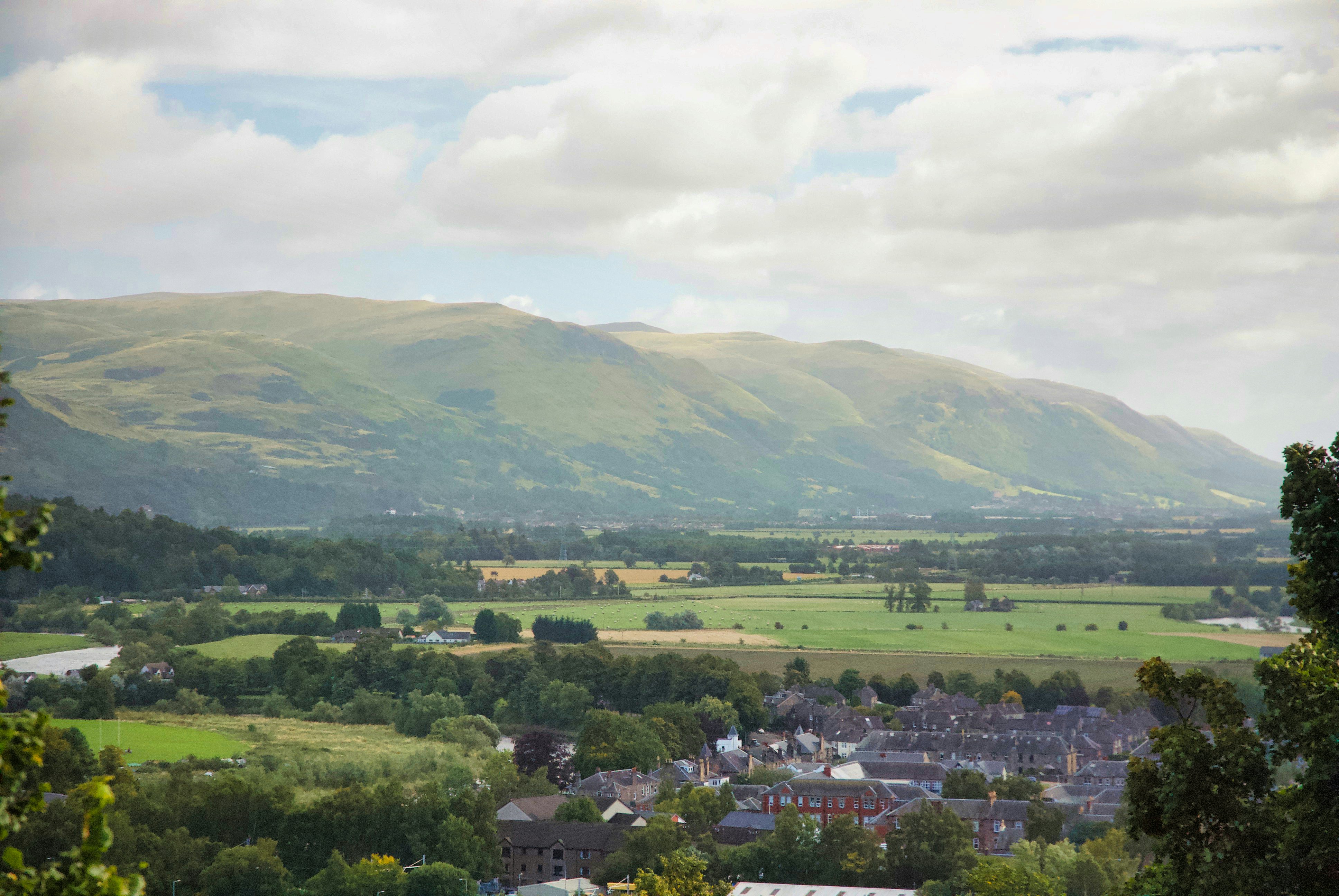 Photo by paws_and_prints