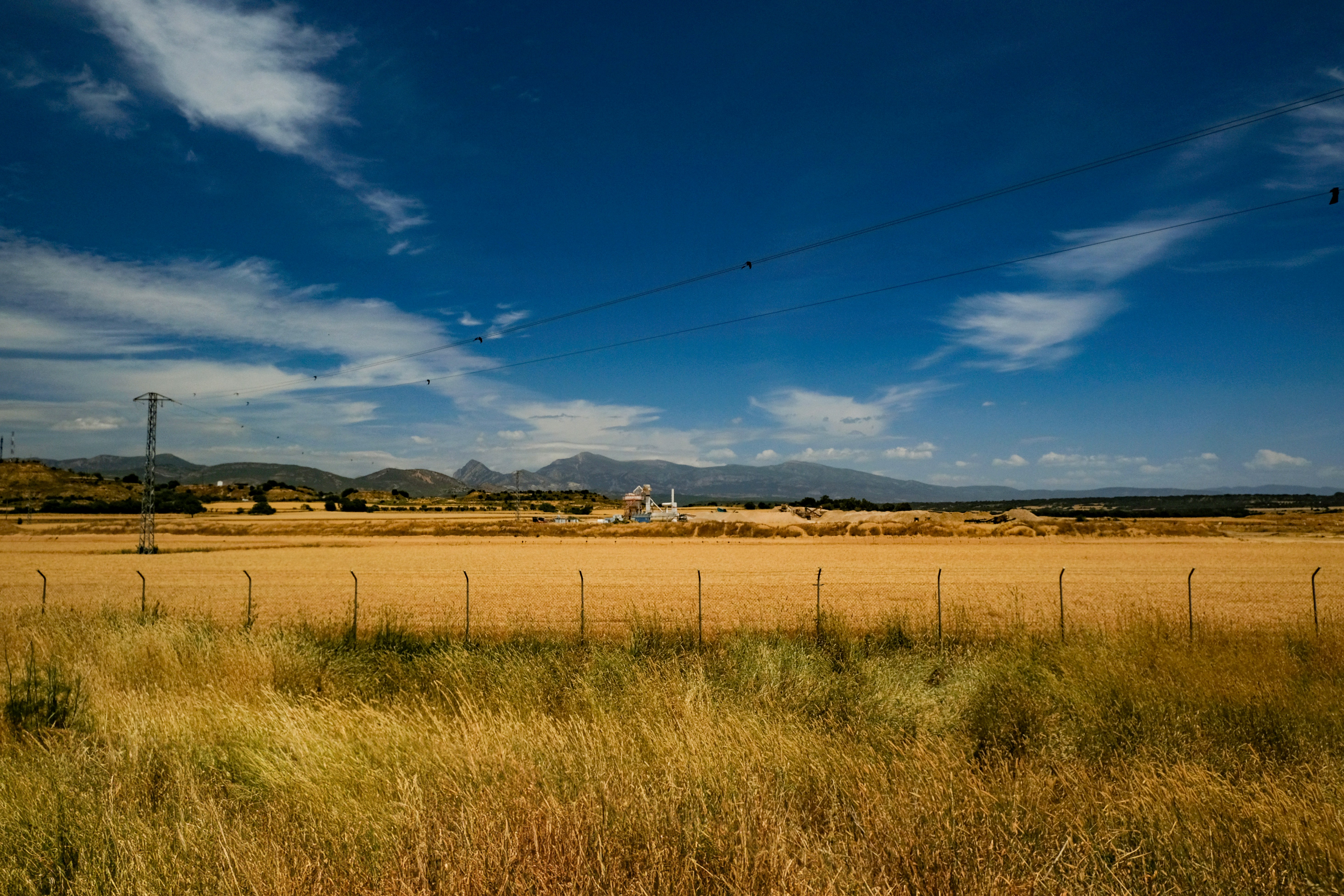 Photo by richardderuijter