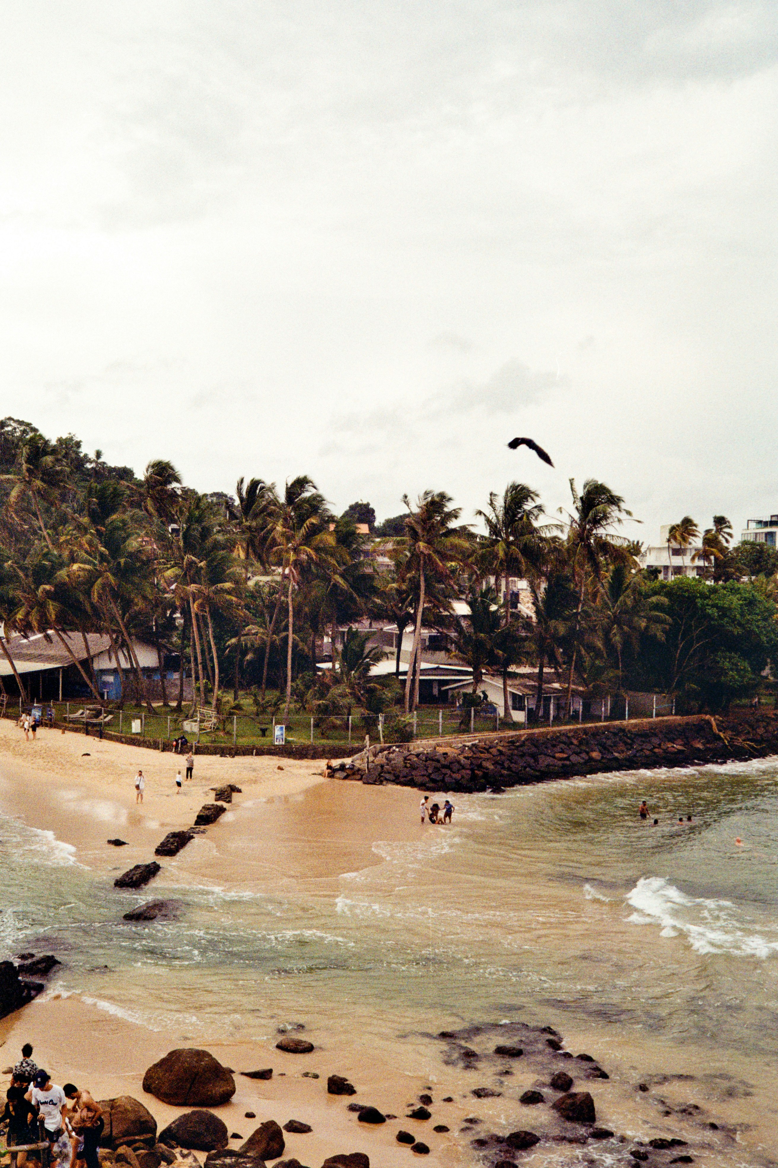 Kodak Gold 200 🎞️ | Tropical beach with palm trees and people swimming