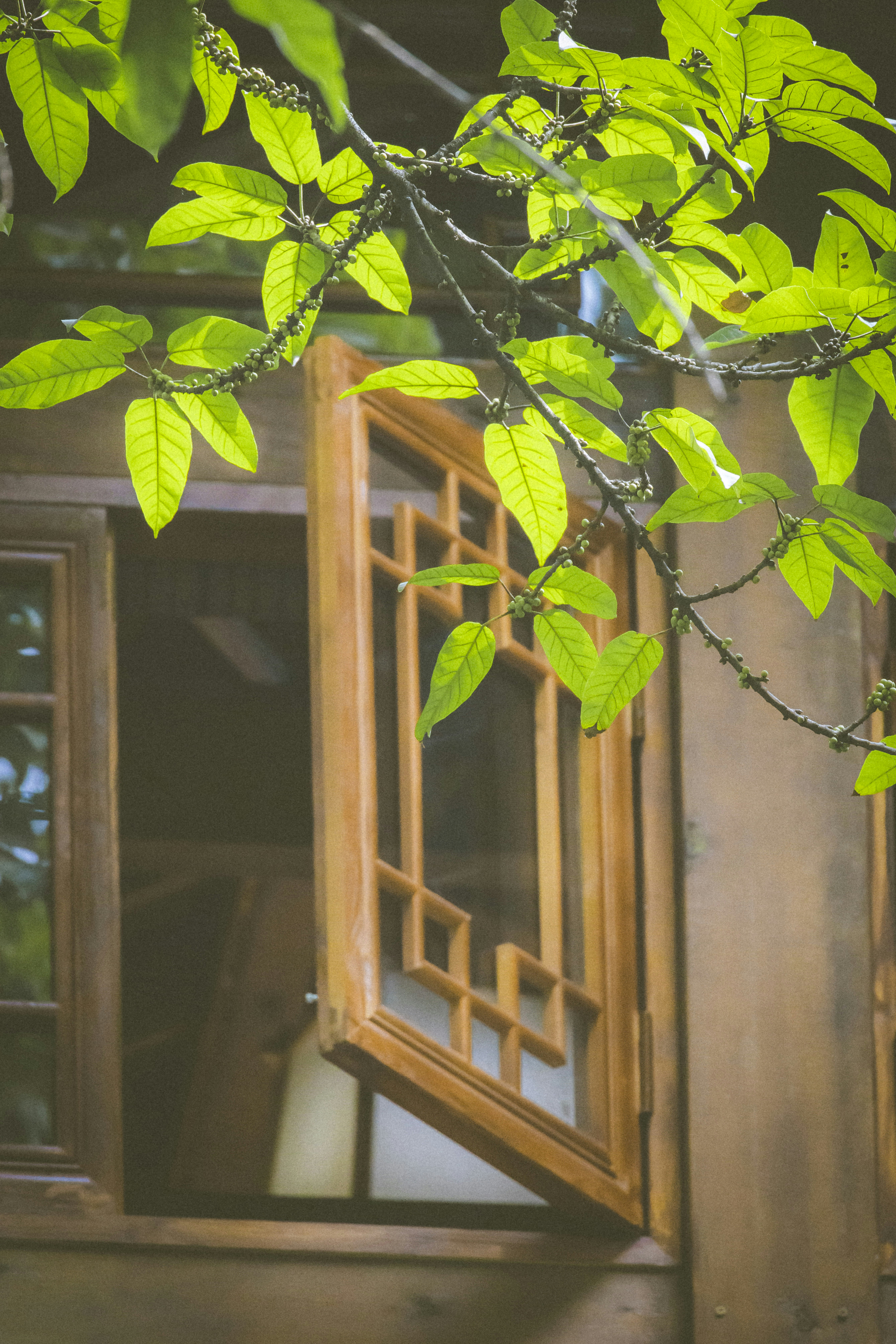 Photo by arttoinspire