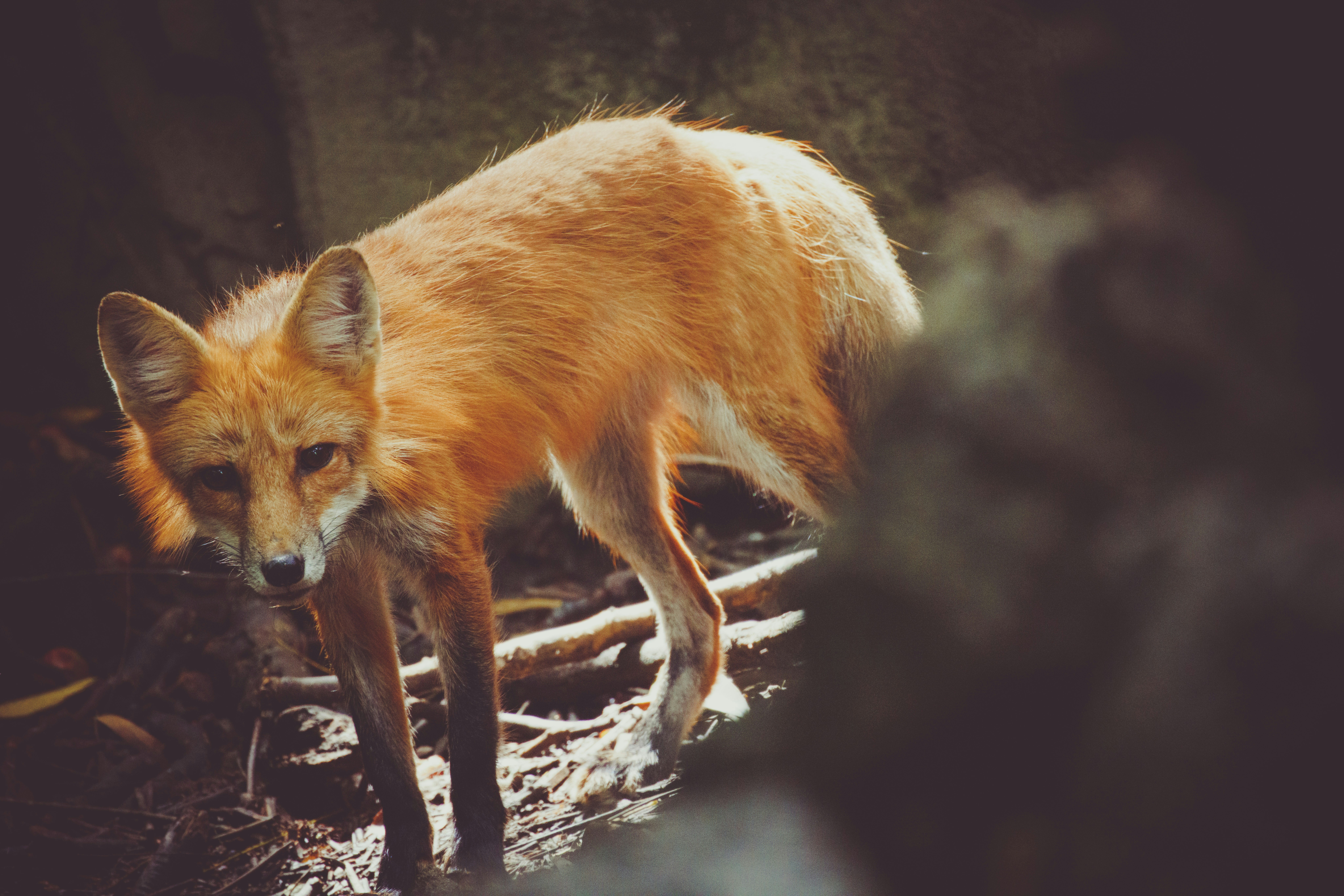 Photo by arttoinspire