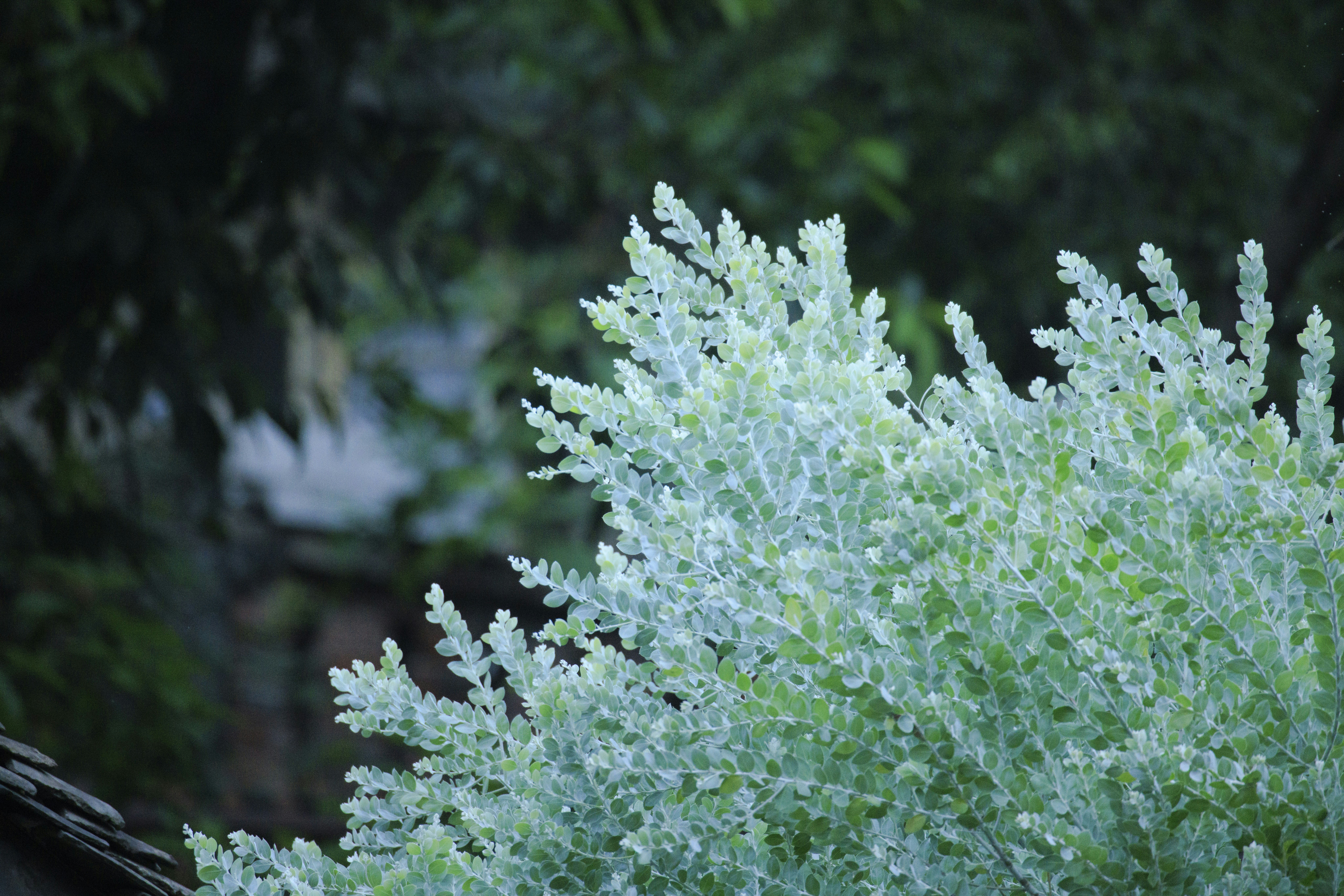 Photo by arttoinspire