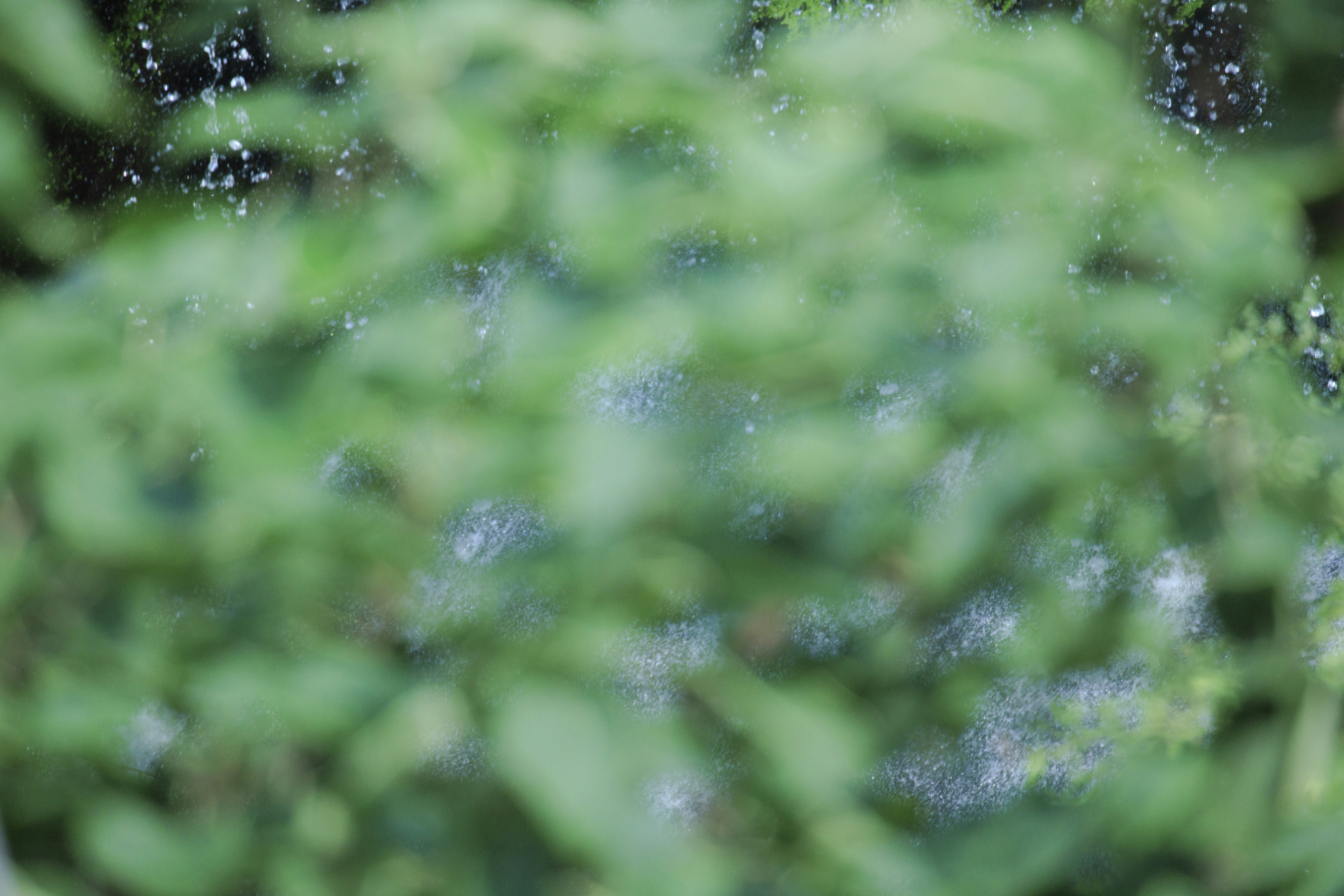 Photo by arttoinspire