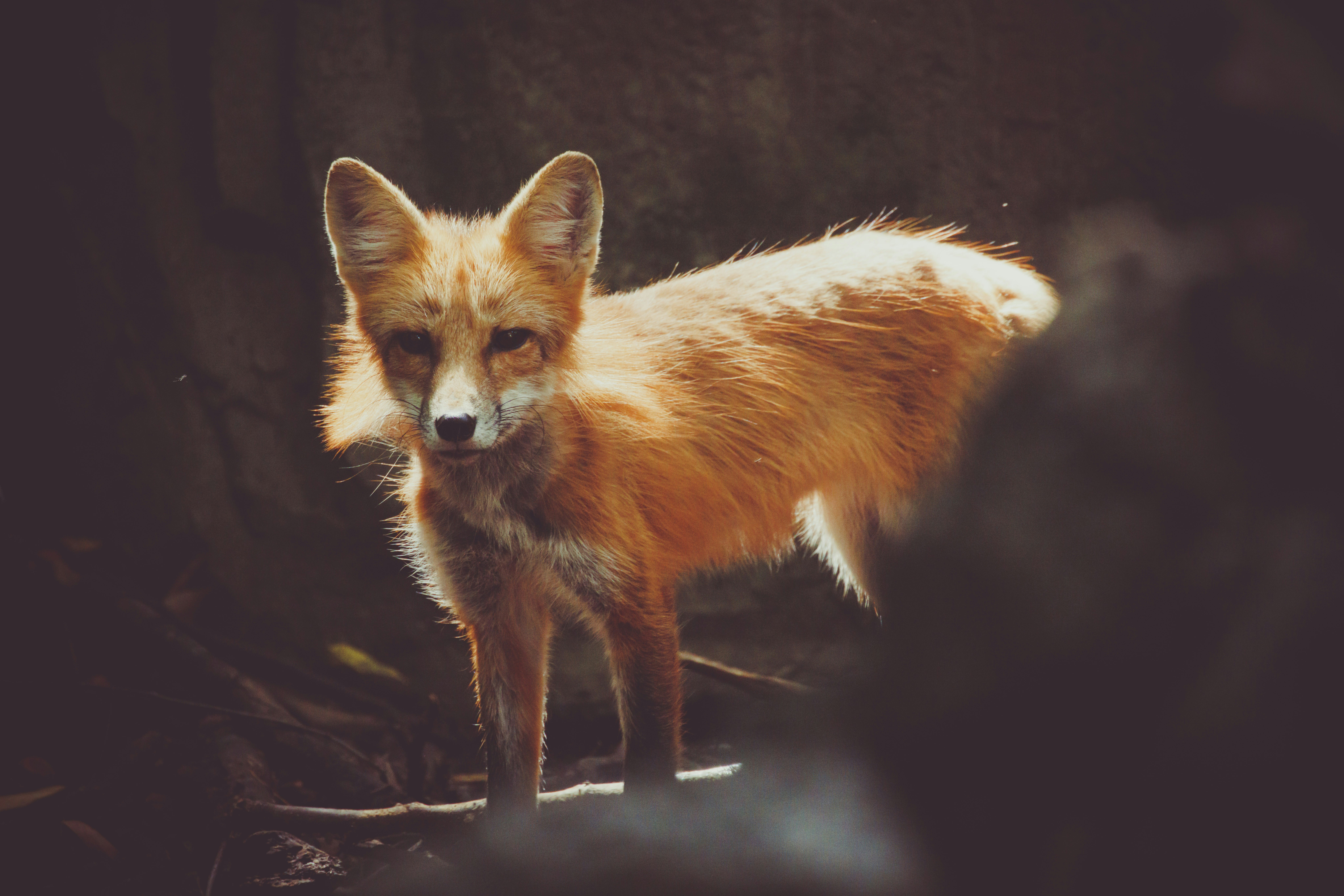 Photo by arttoinspire