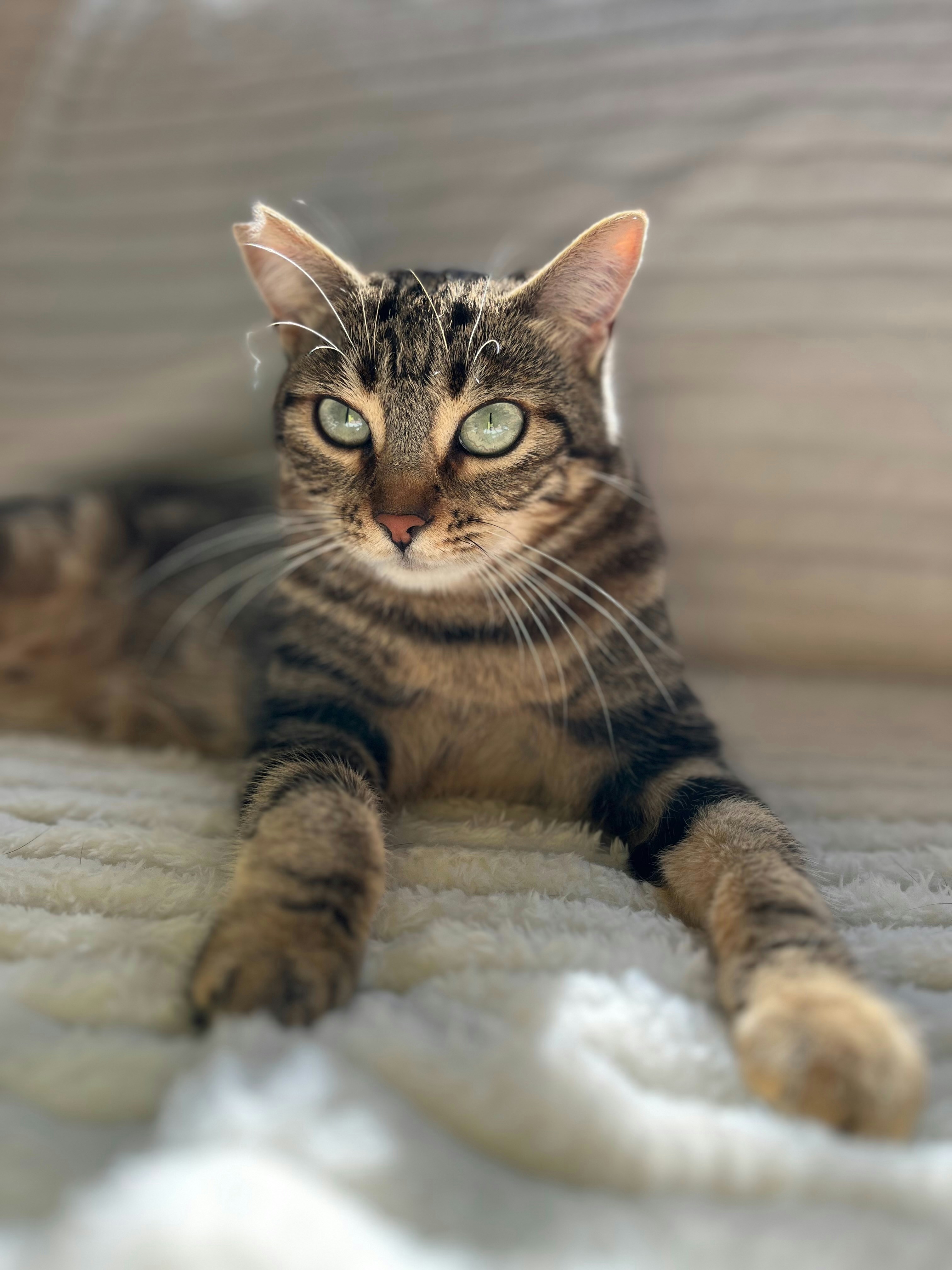 Photo by samusenkomariel