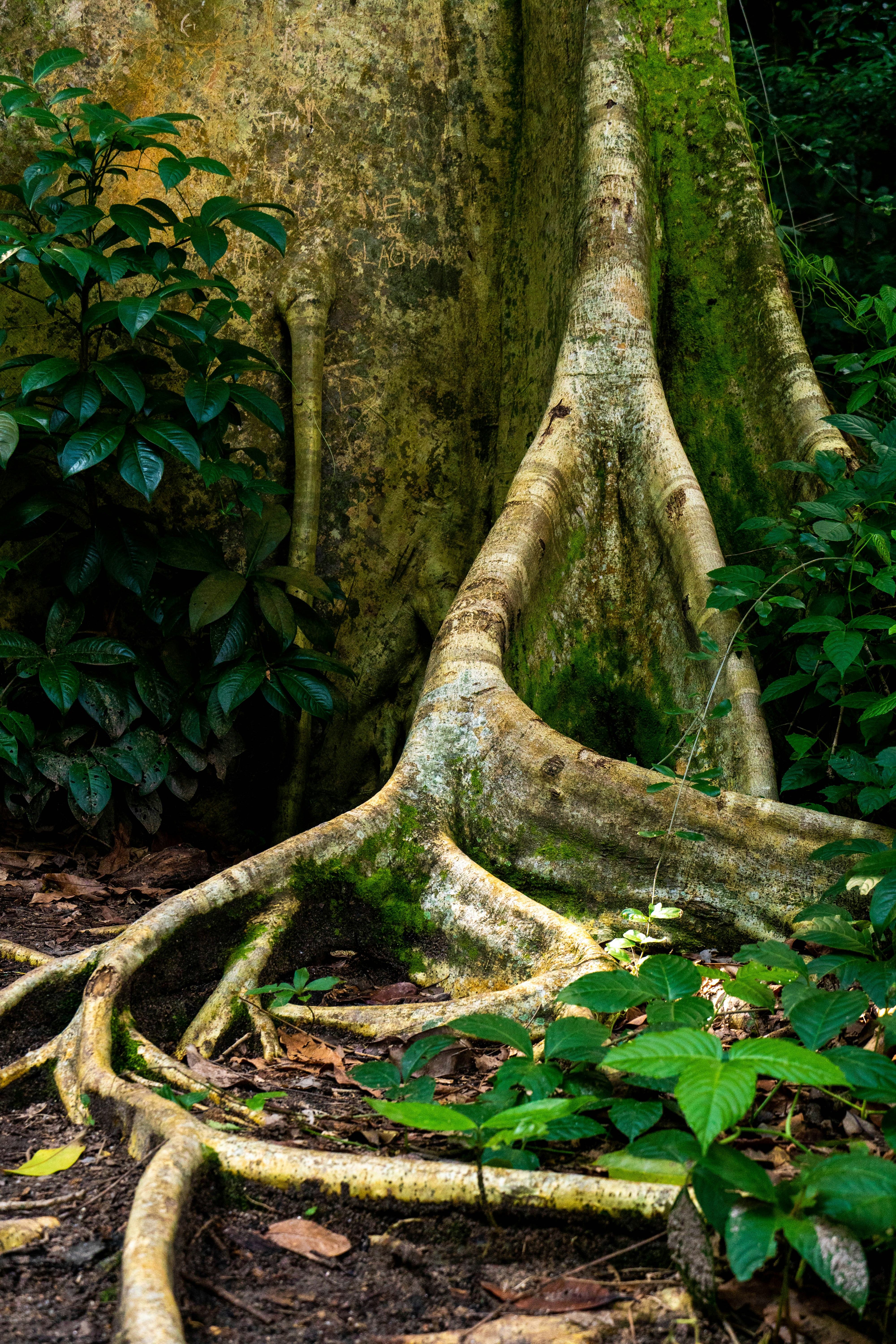 Photo by gustavo0351