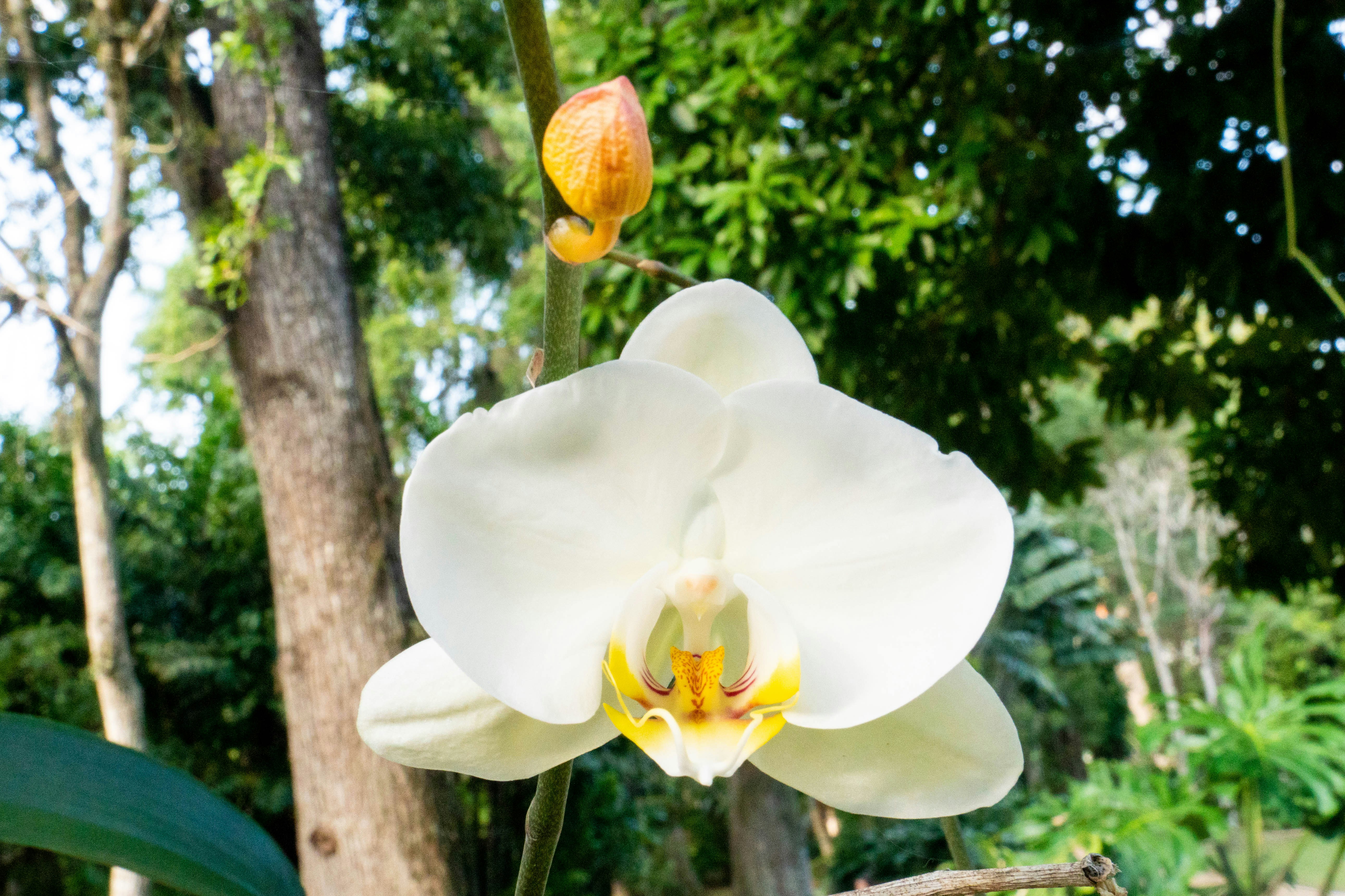 Photo by gustavo0351