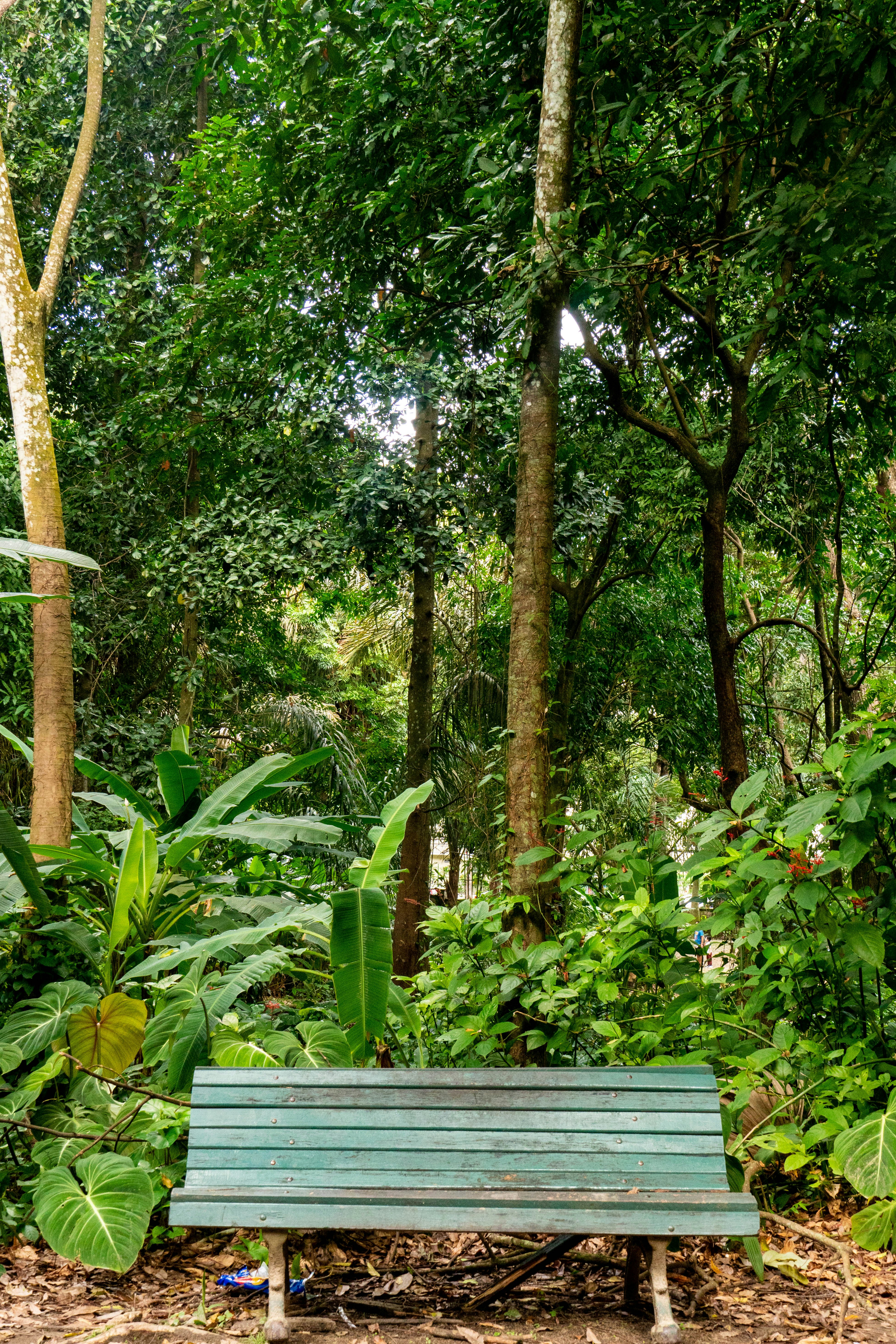 Photo by gustavo0351