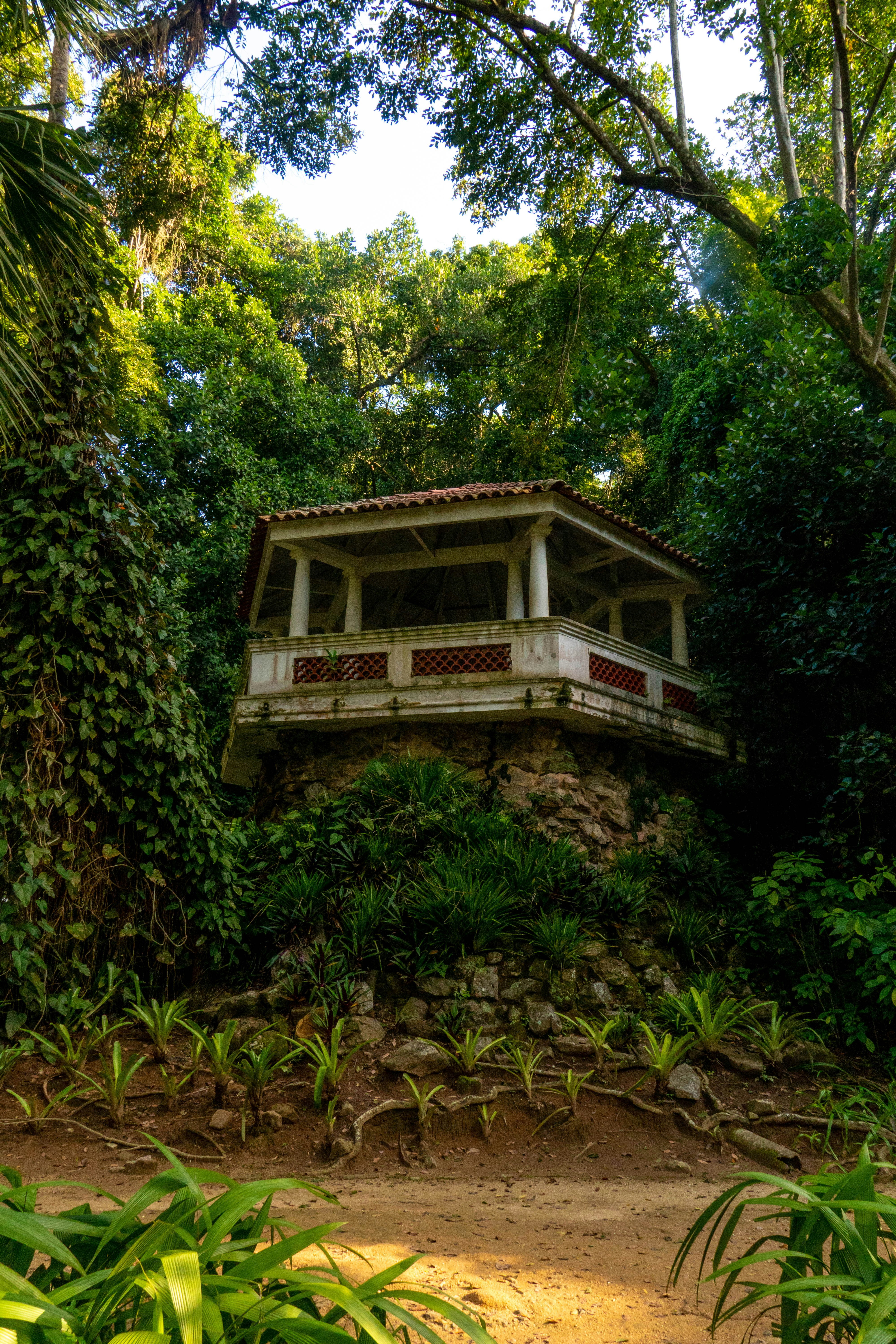 Photo by gustavo0351