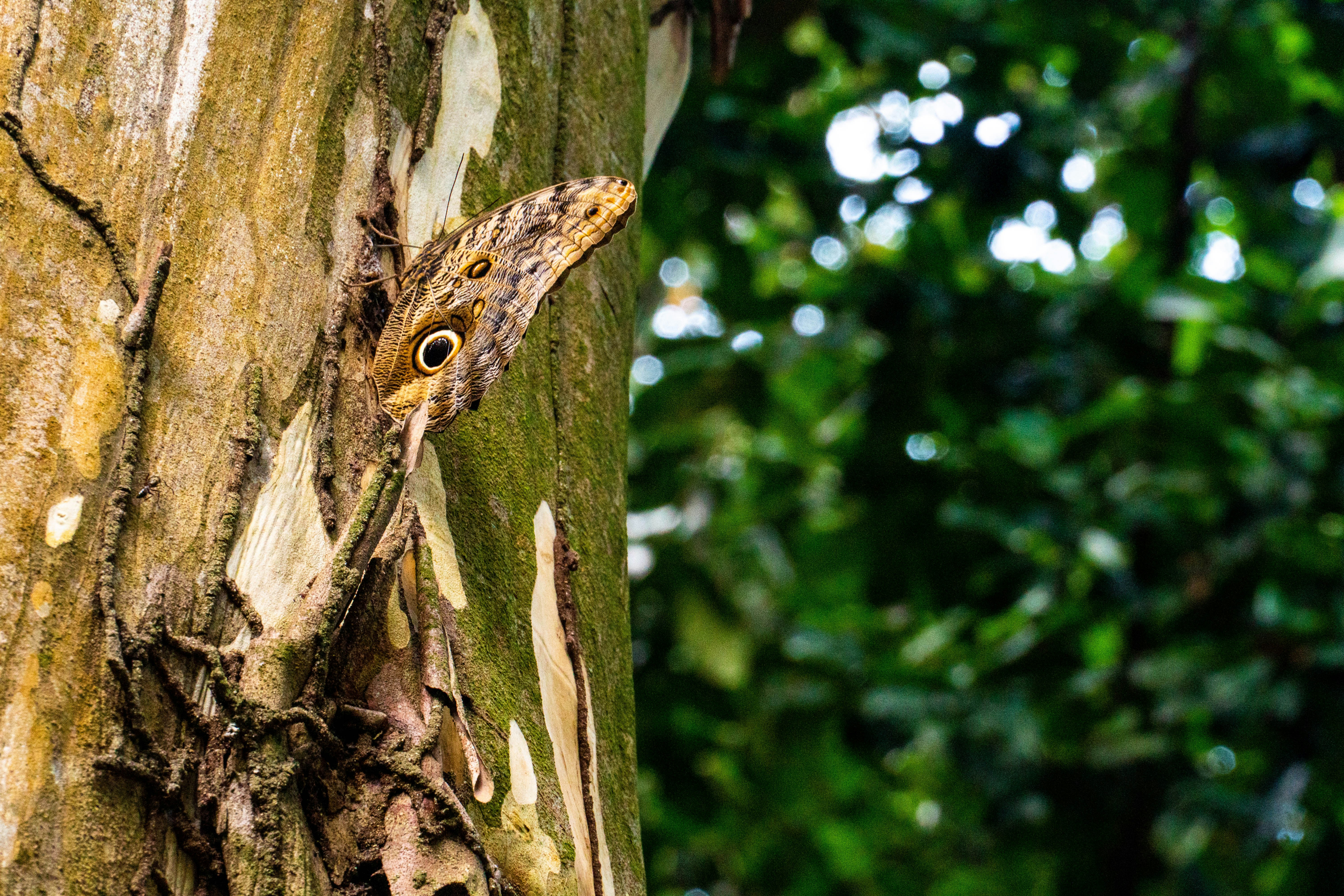 Photo by gustavo0351