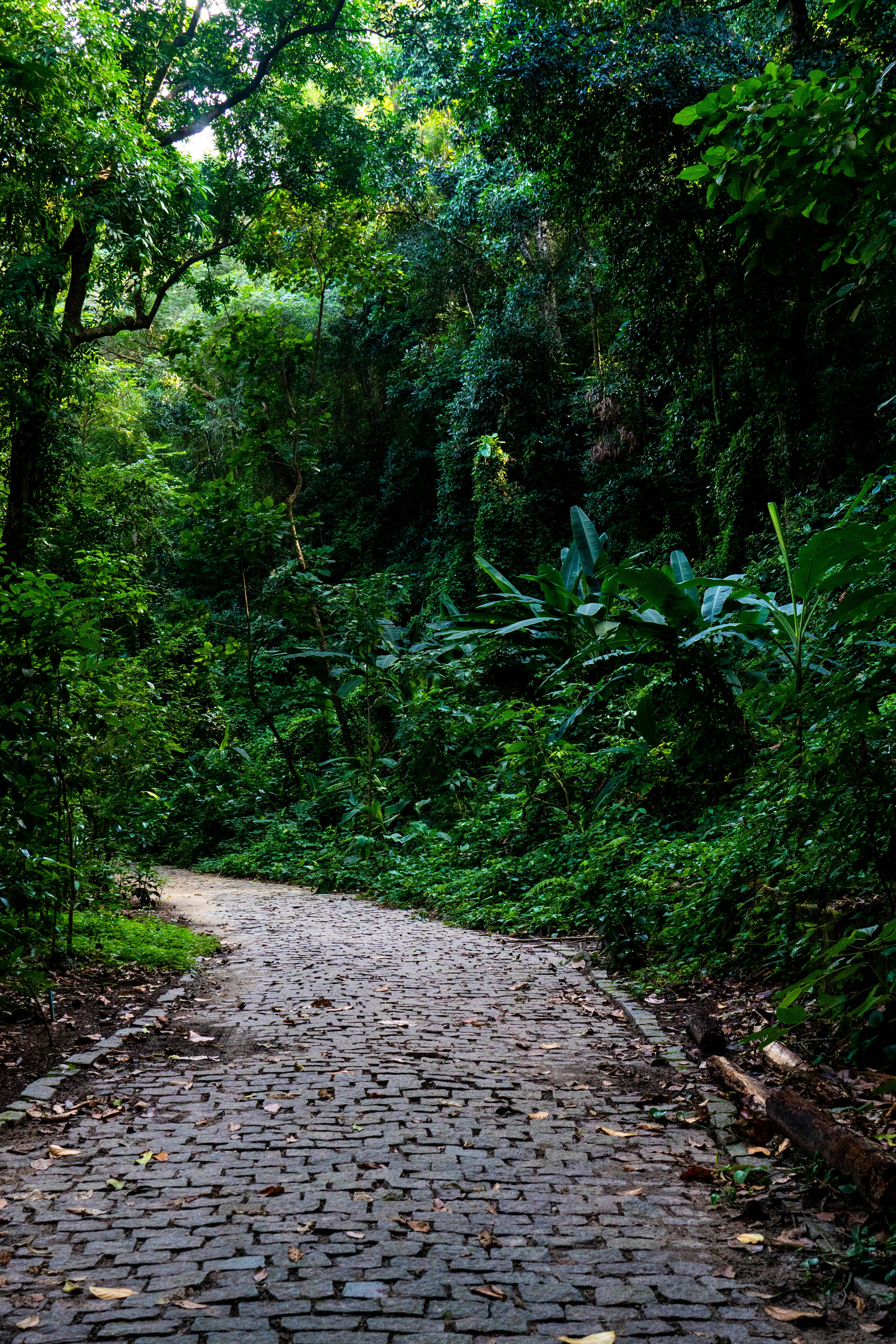 Photo by gustavo0351