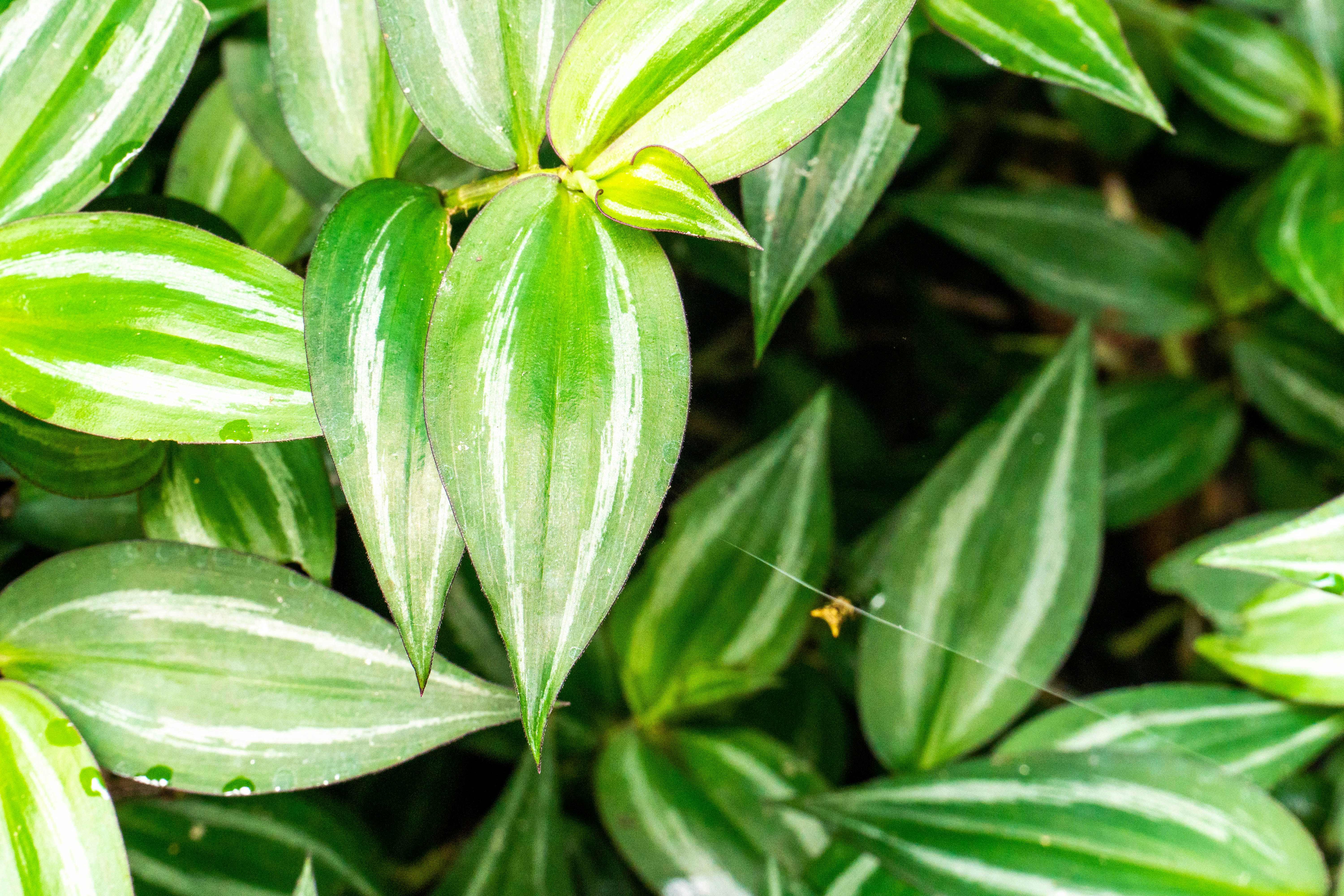 Photo by gustavo0351