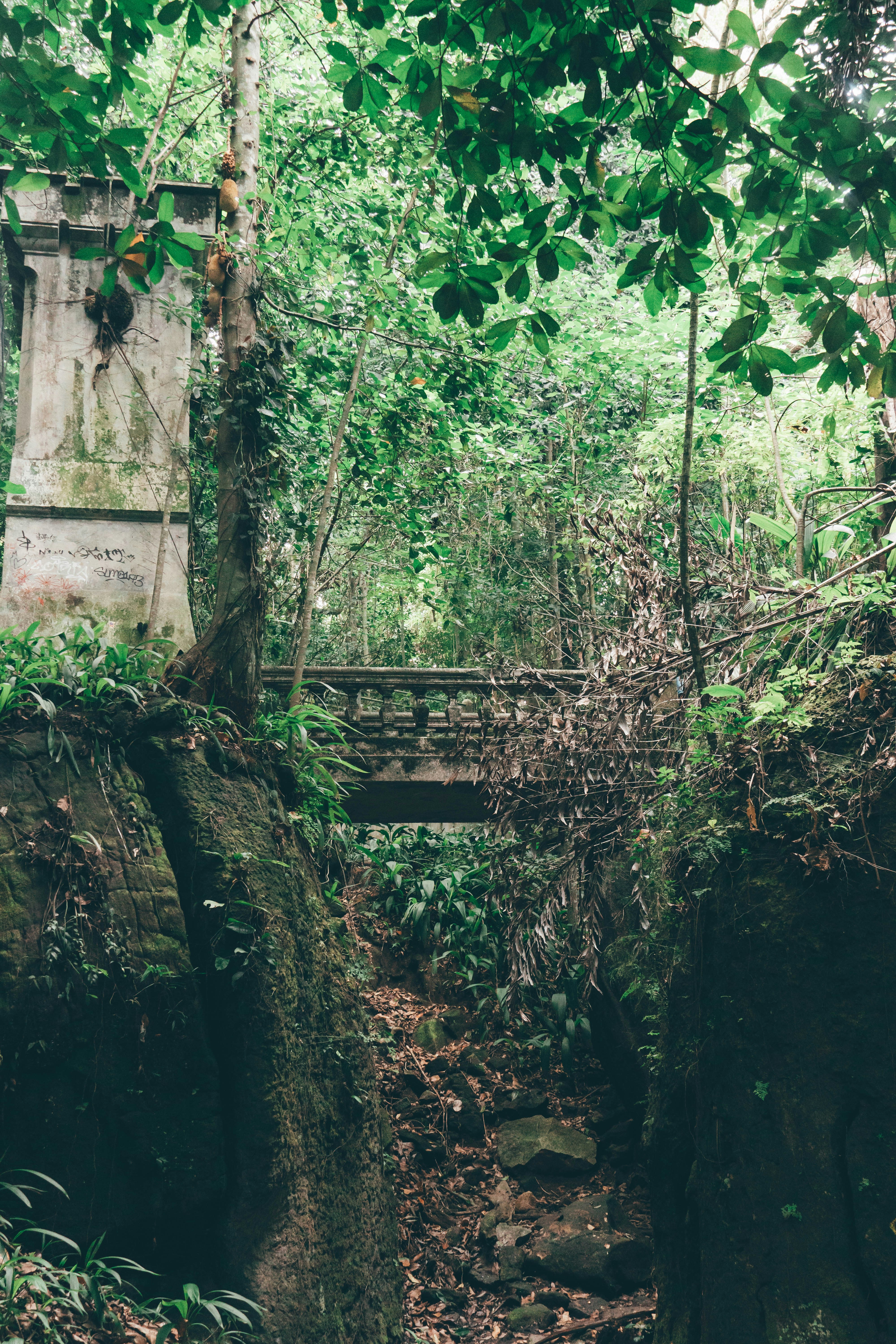 Photo by gustavo0351