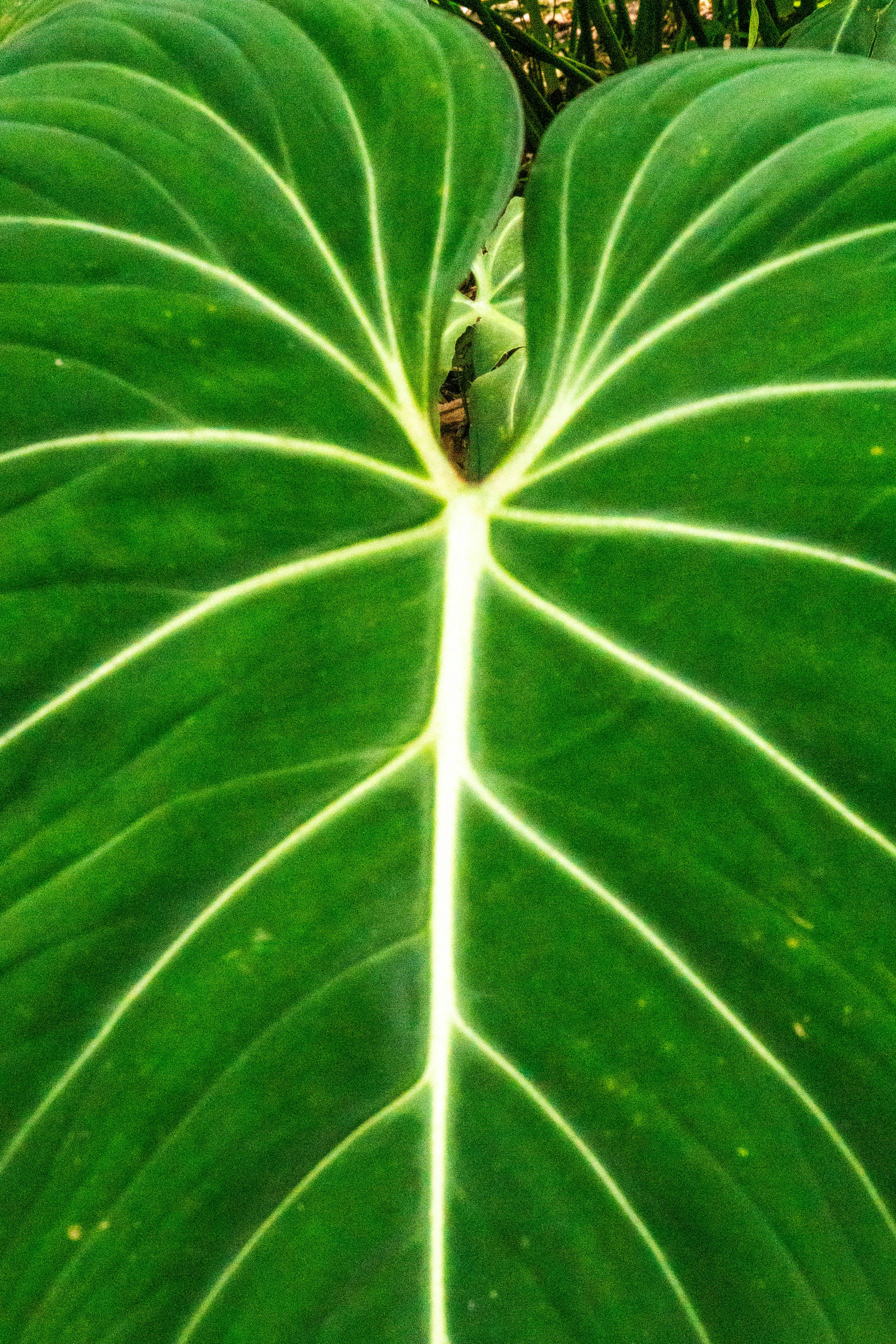 Photo by gustavo0351