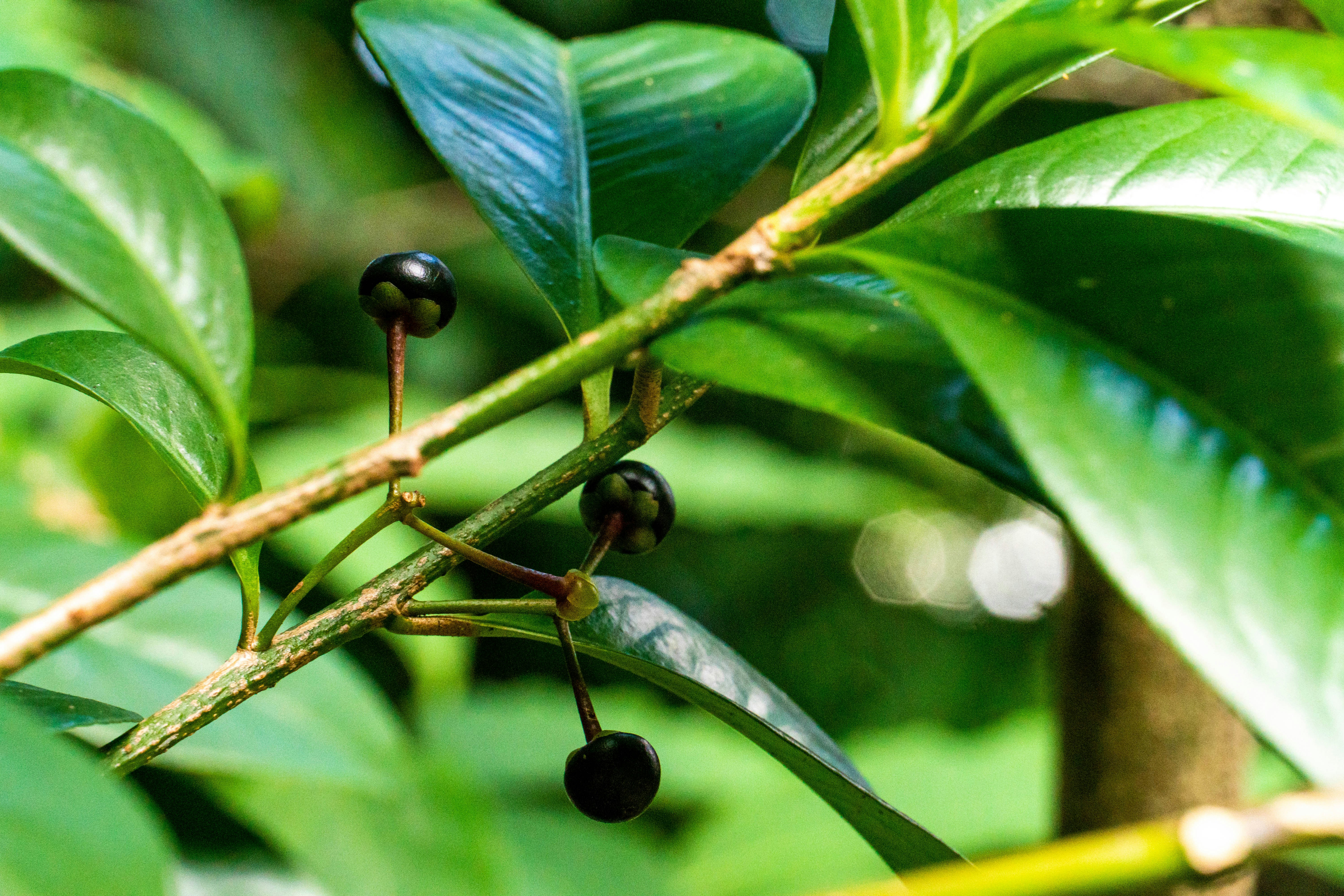 Photo by gustavo0351