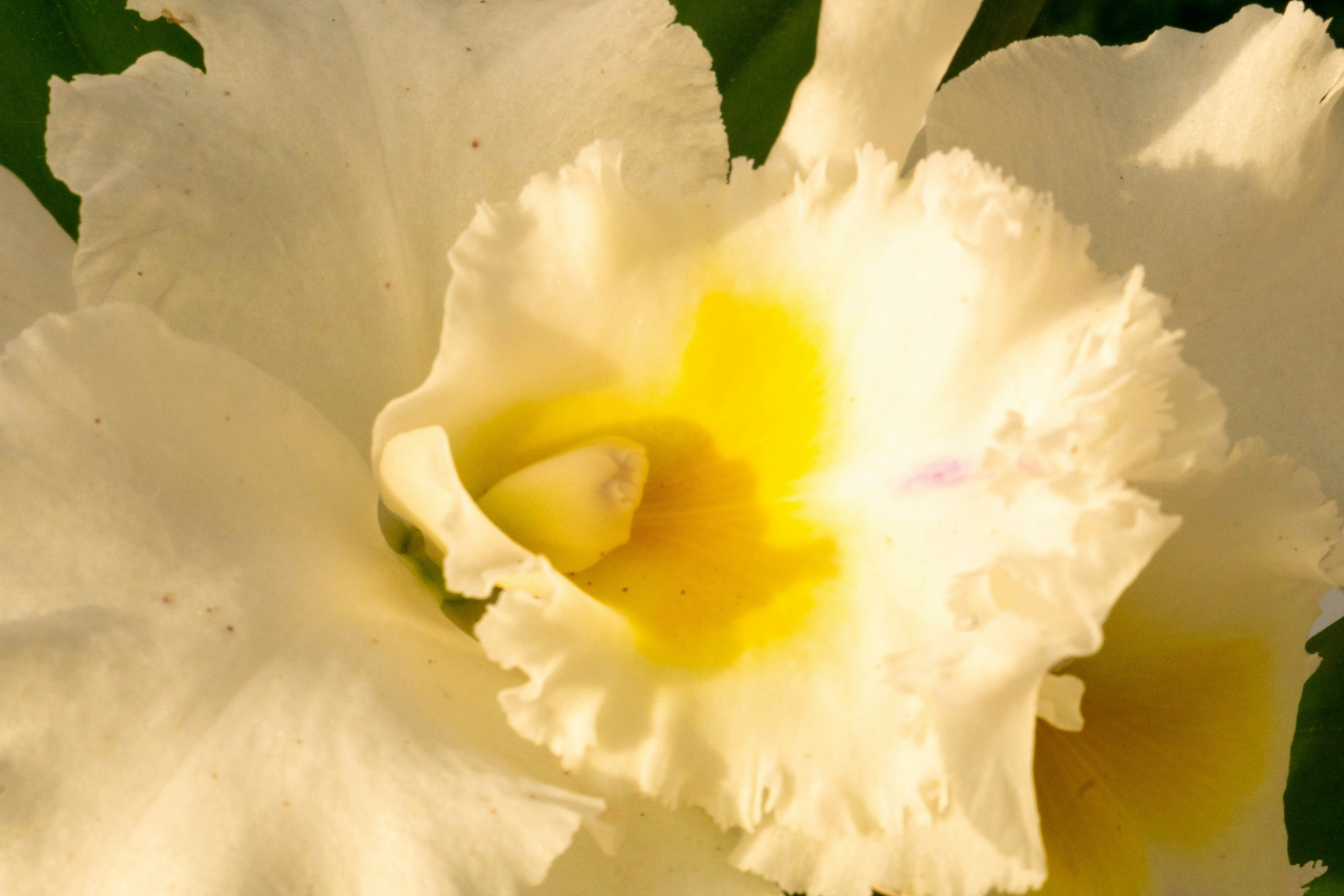 Photo by gustavo0351