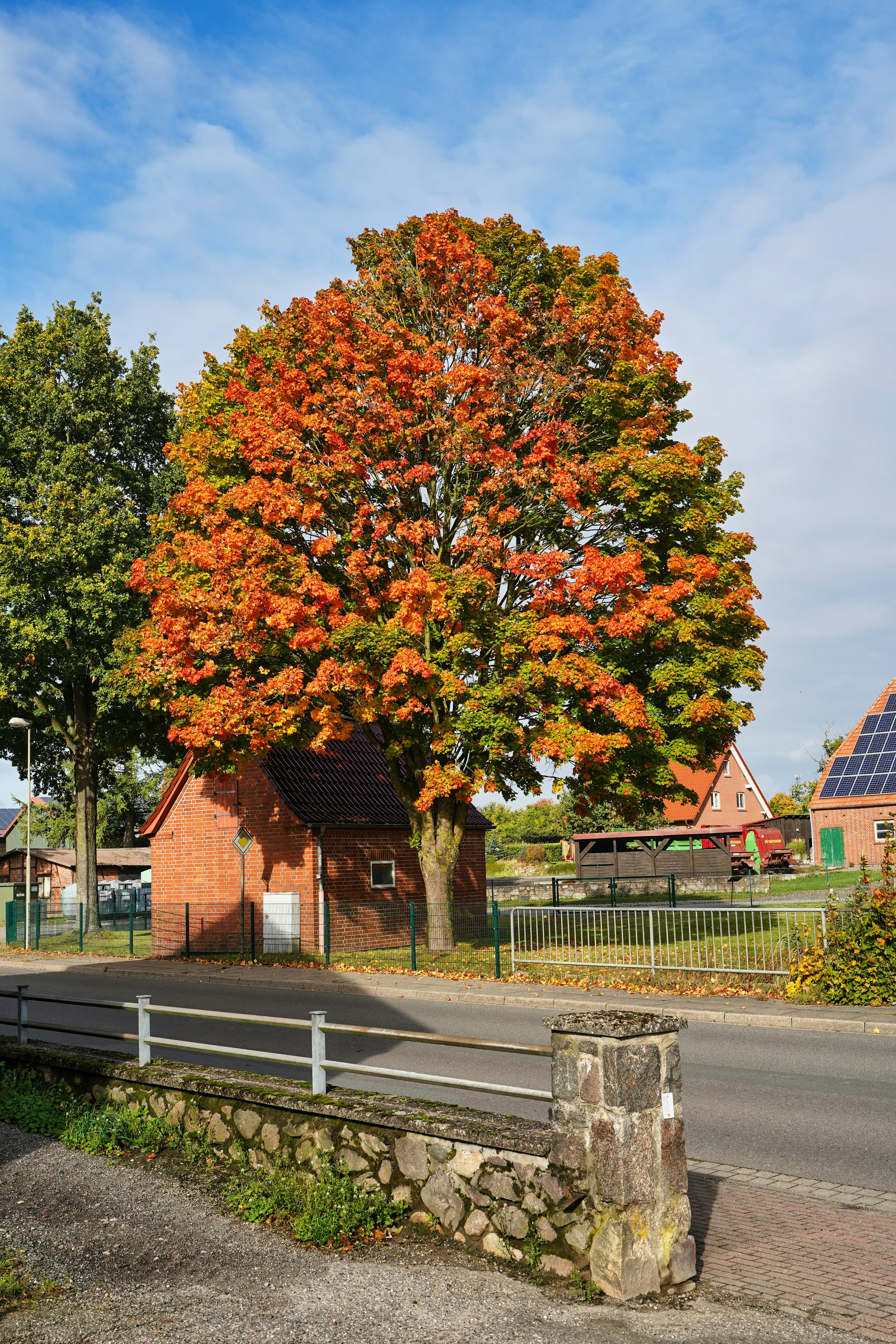 Photo by hamburgmeinefreundin