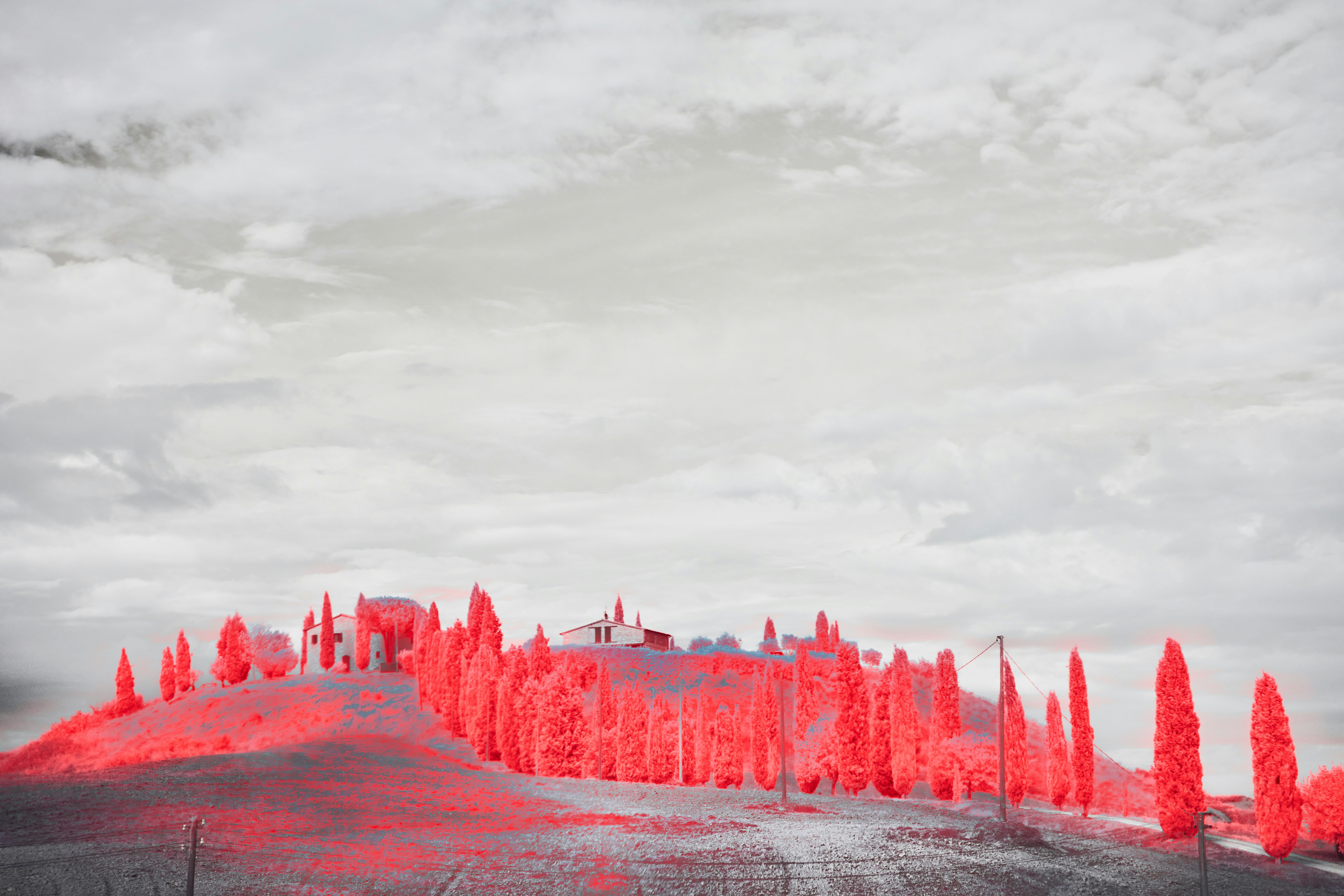 Photo by wolfgang_hasselmann