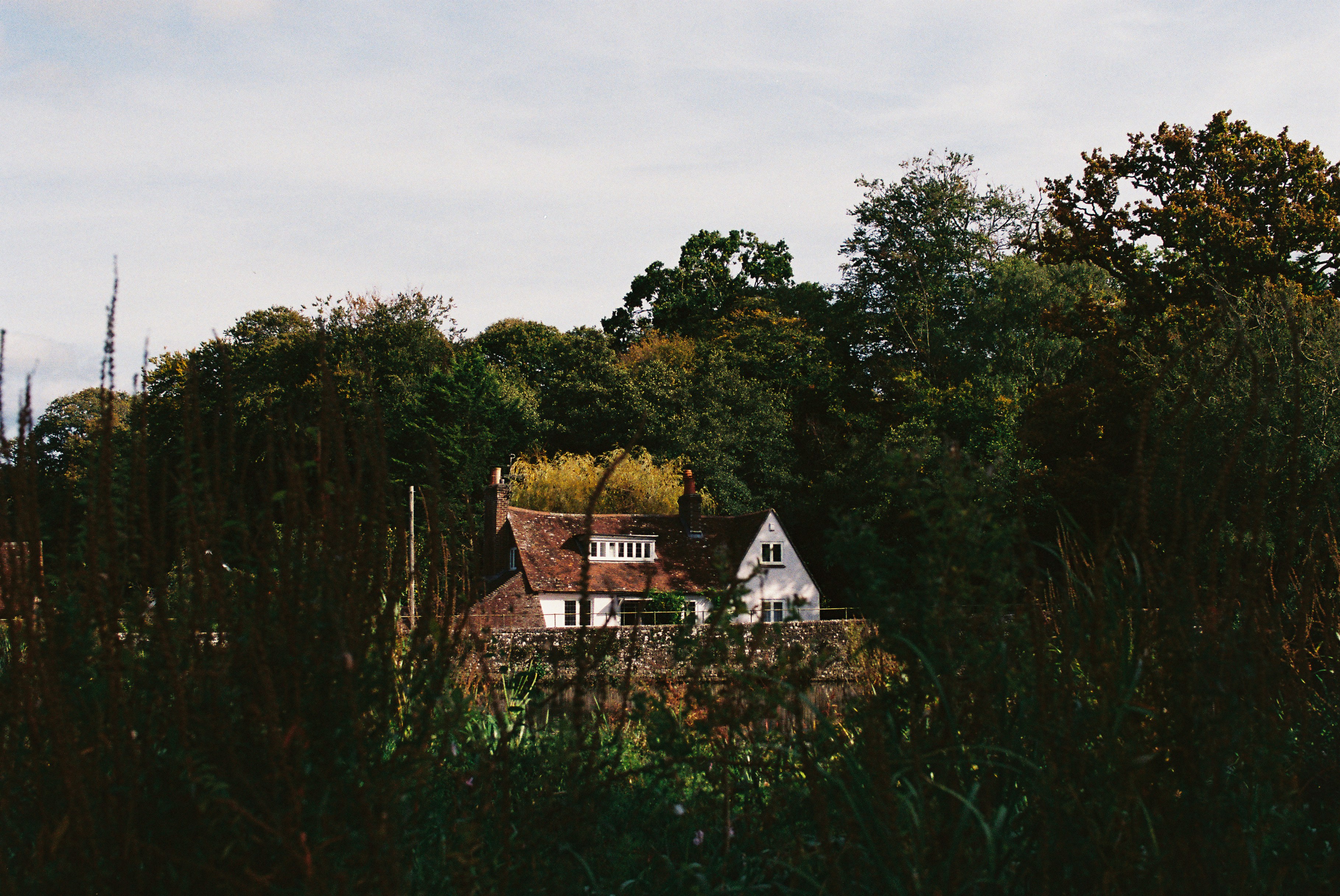 Tresco, United Kingdom - None
