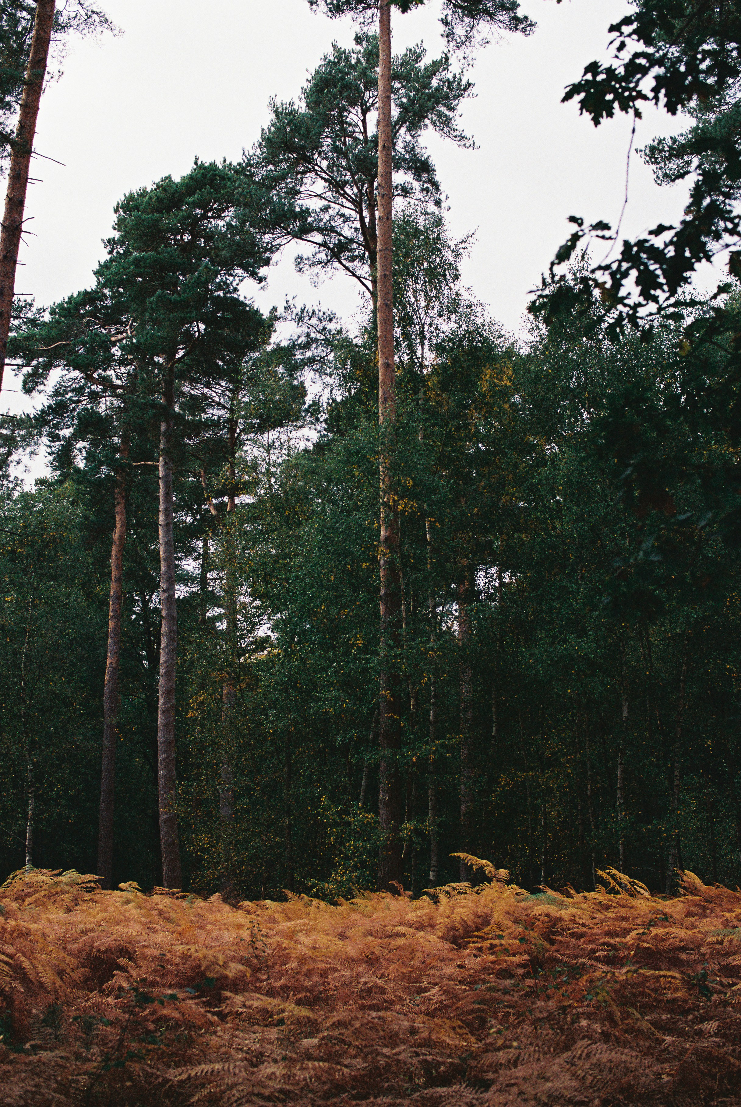 Photo by tanyabarrow