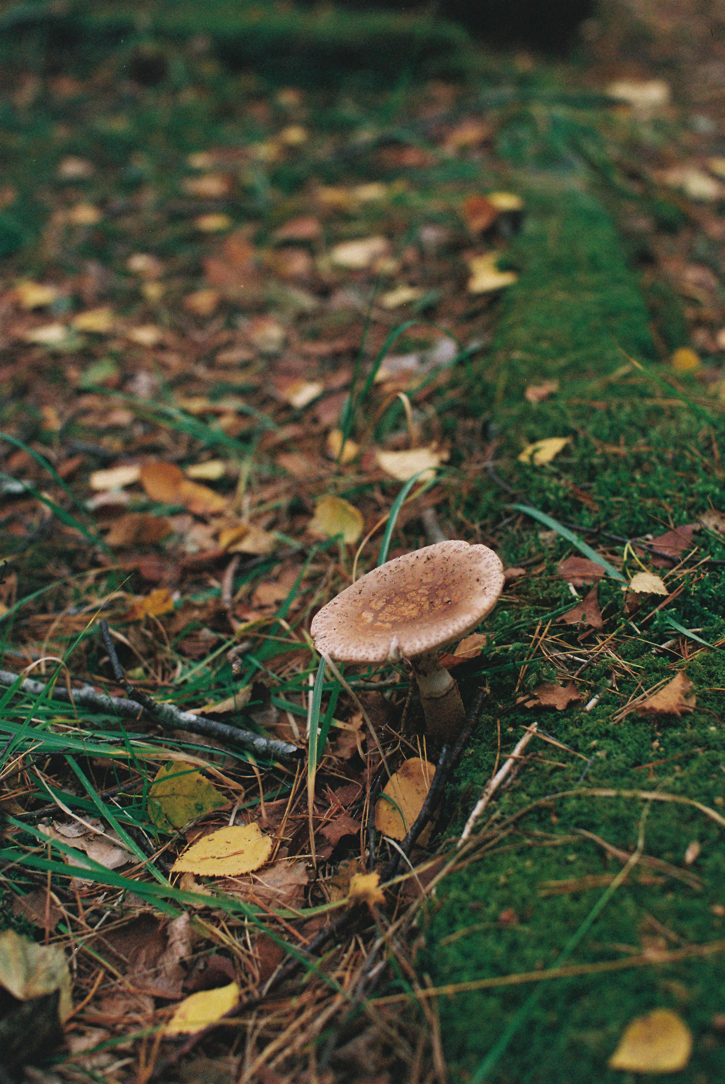 Photo by tanyabarrow