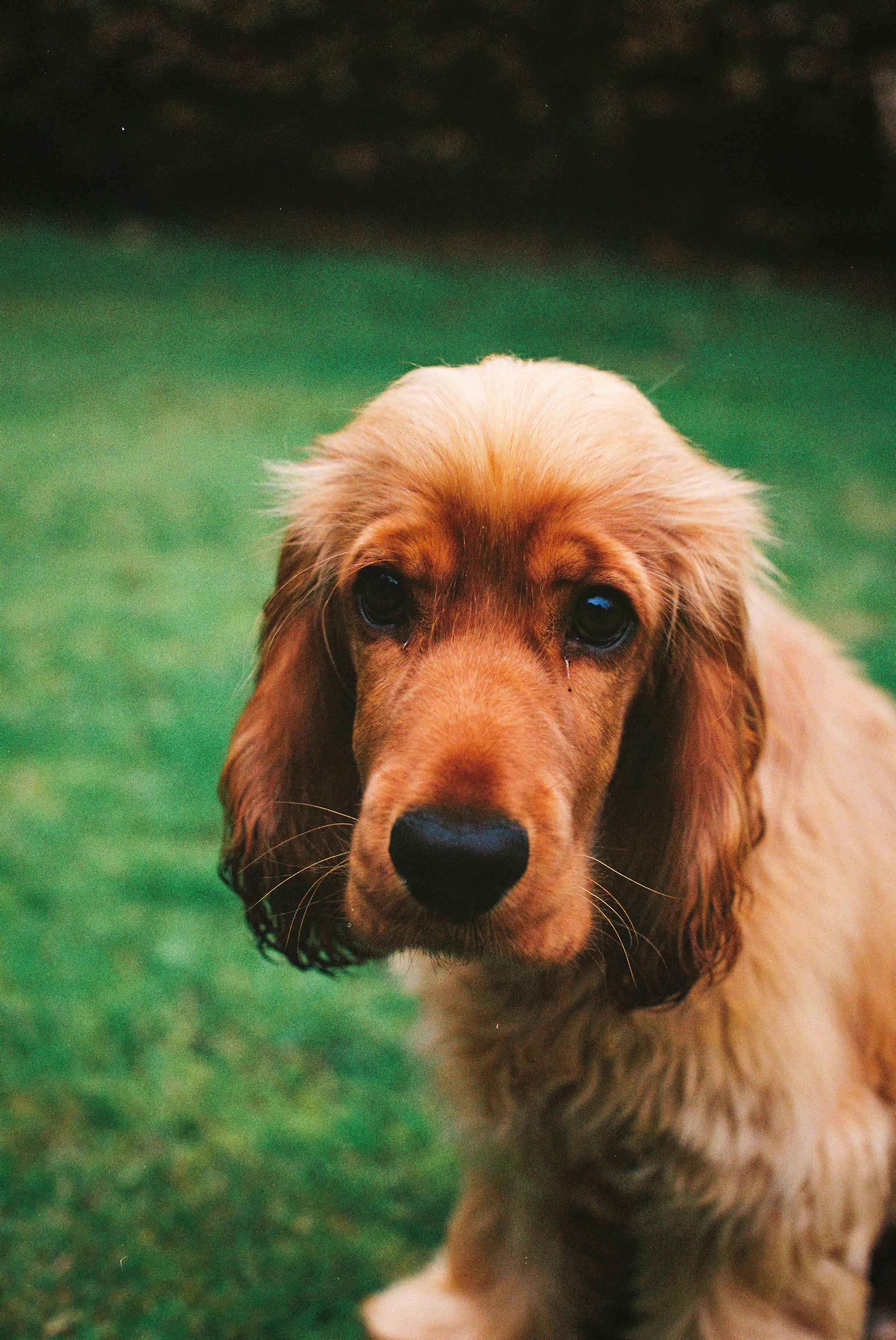 Photo by tanyabarrow