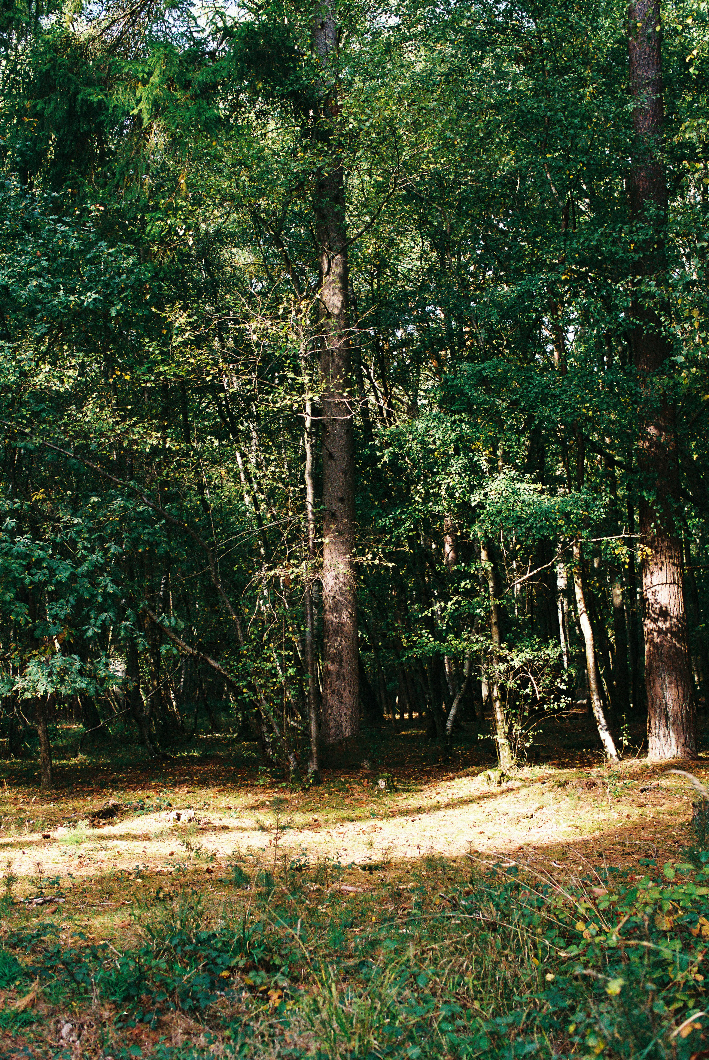 Photo by tanyabarrow