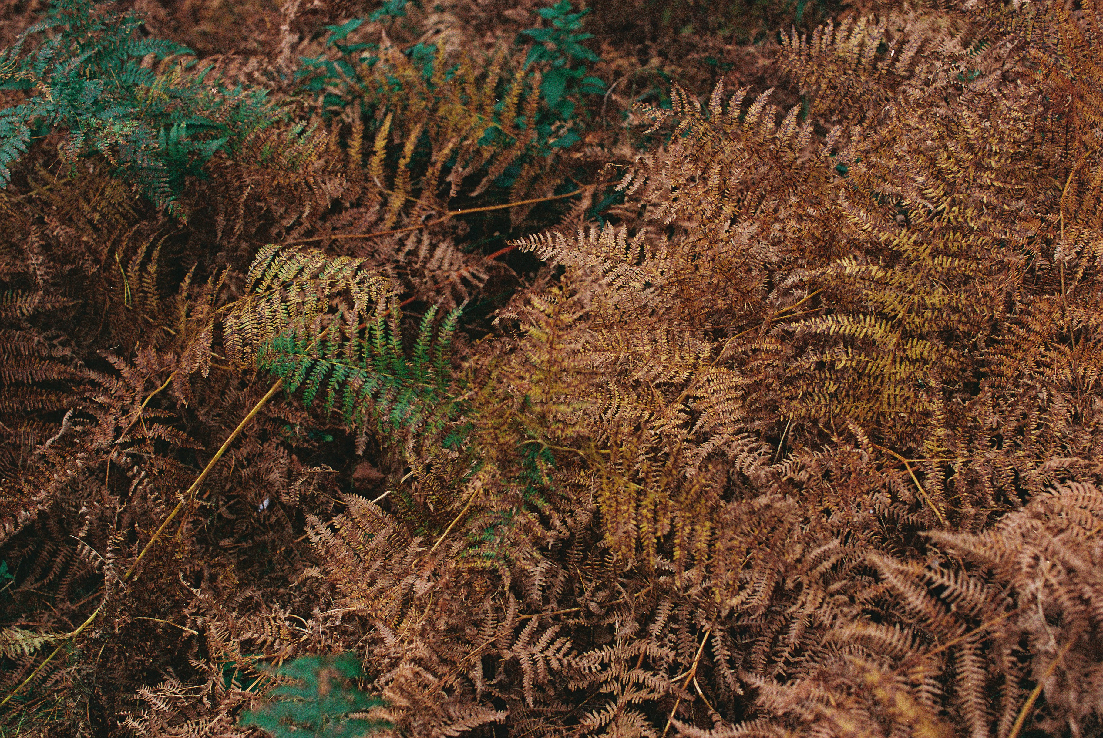 Photo by tanyabarrow