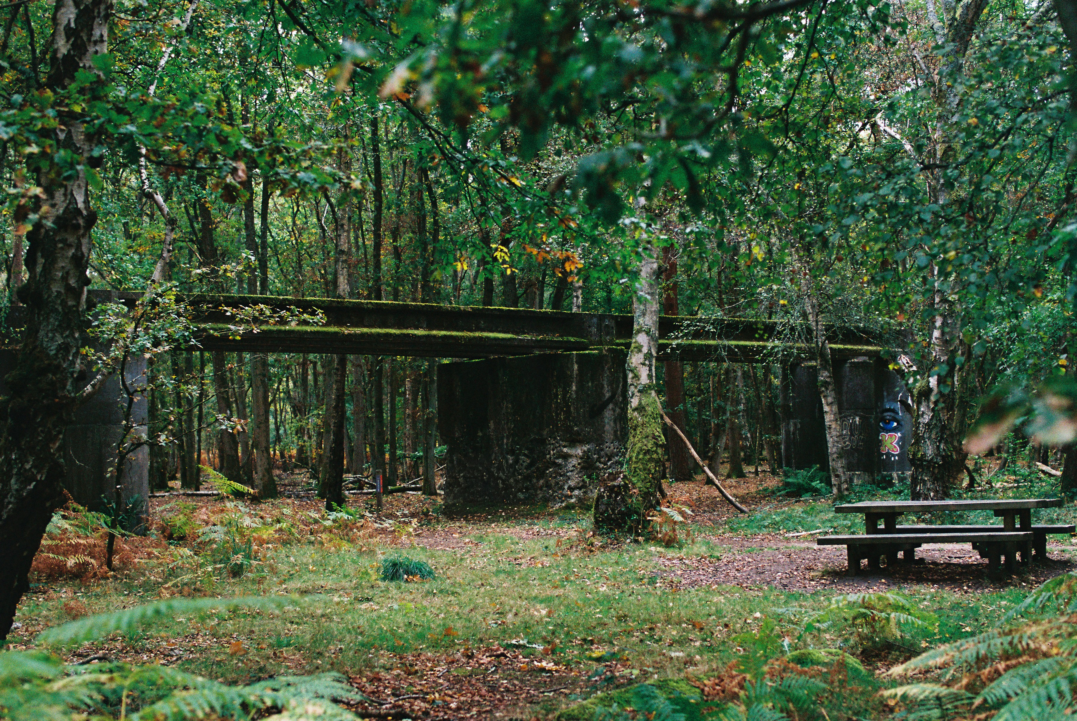 Photo by tanyabarrow