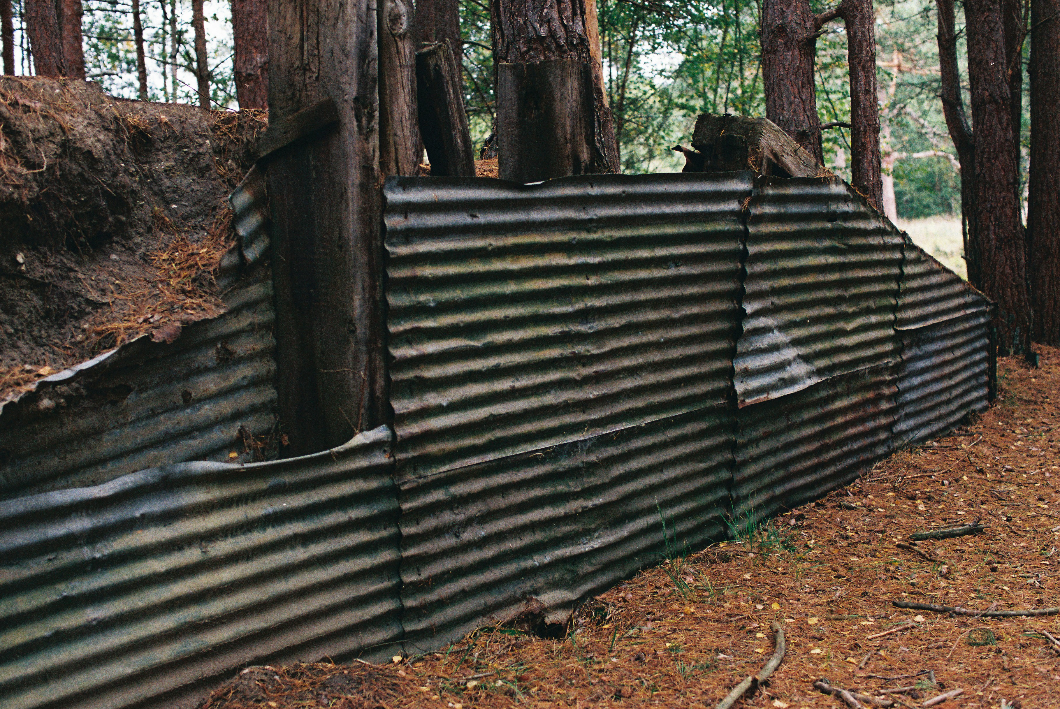 Corrugated metal wall in a forest setting