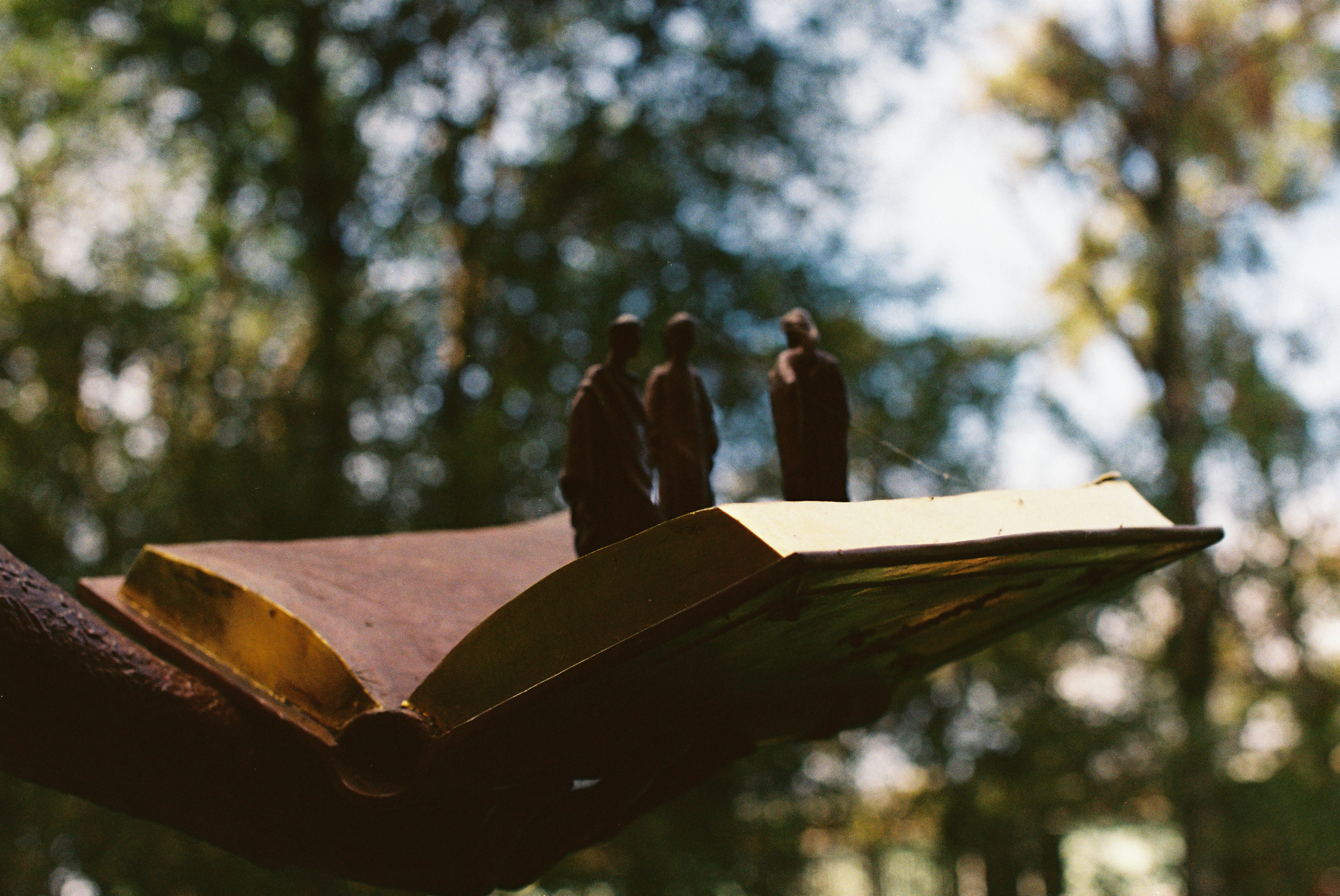 Photo by tanyabarrow