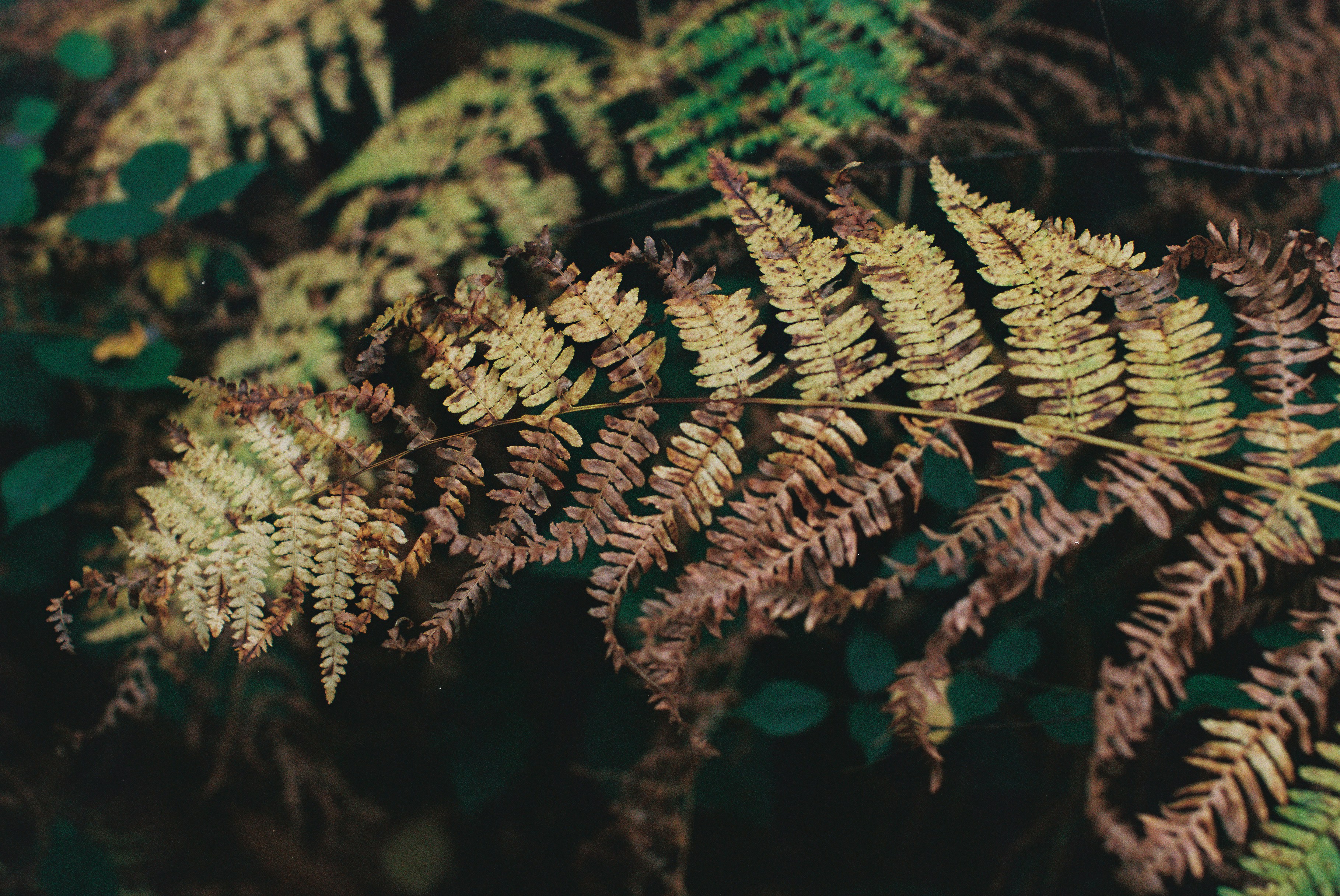 Photo by tanyabarrow