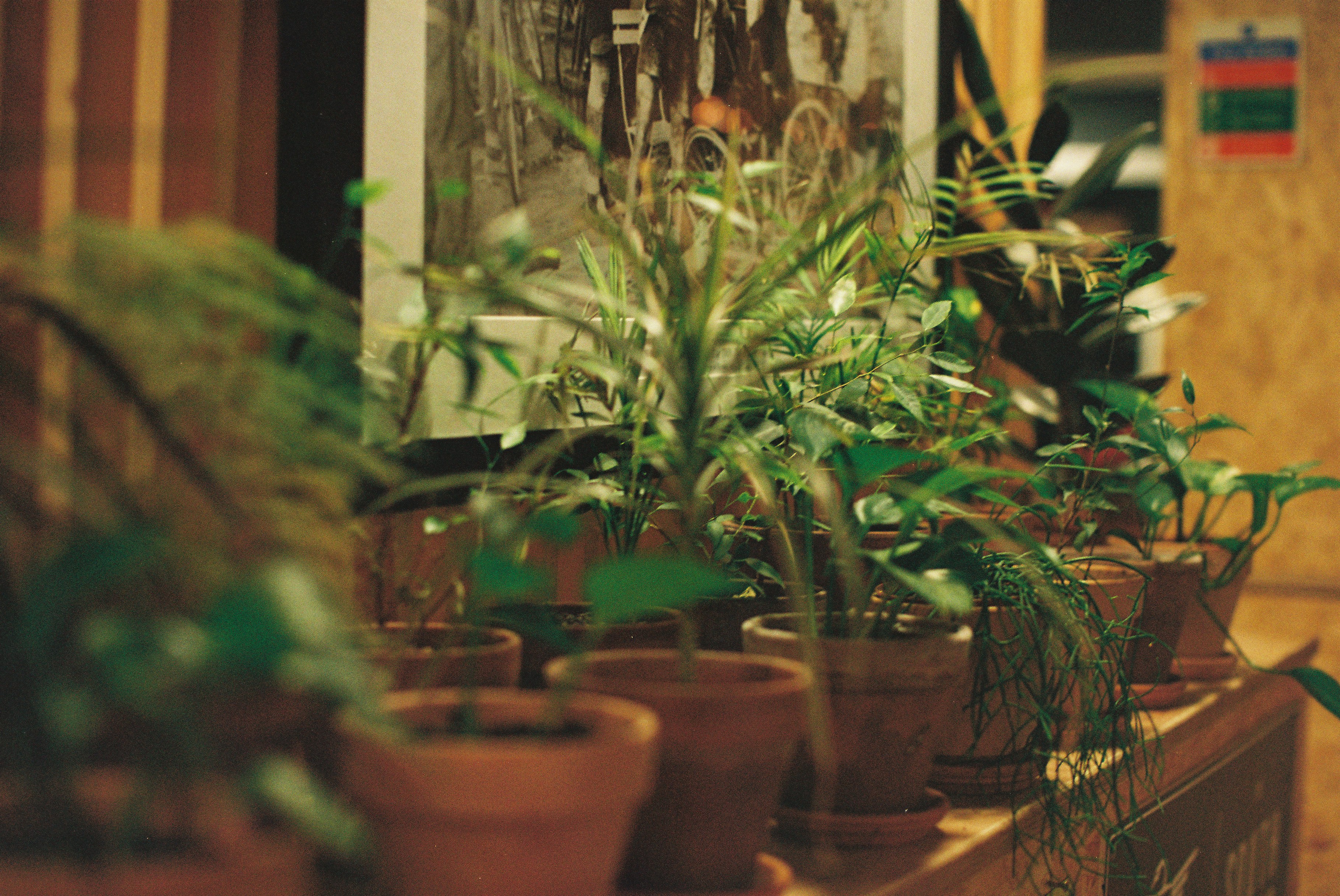 Photo by tanyabarrow