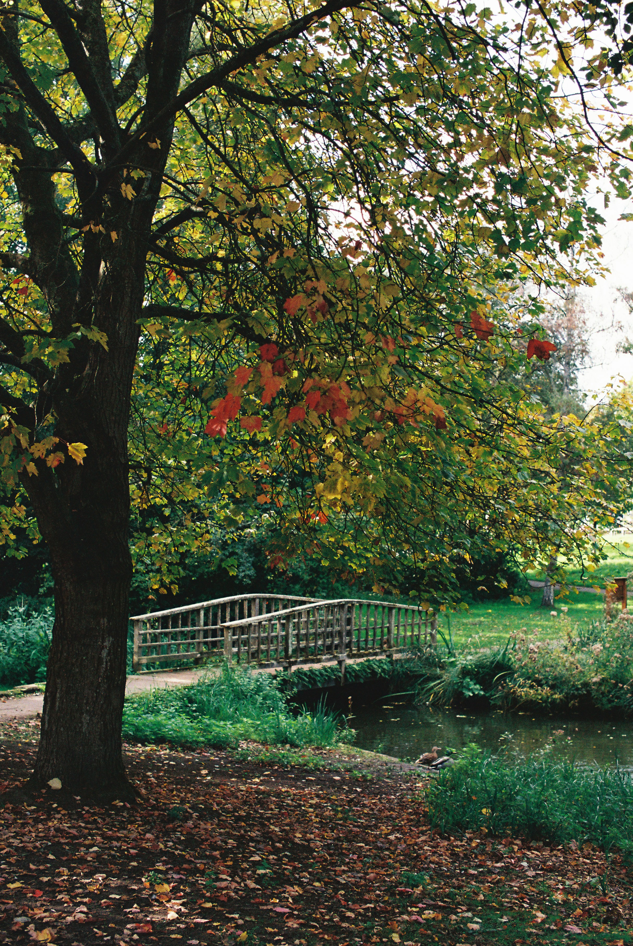 Photo by tanyabarrow