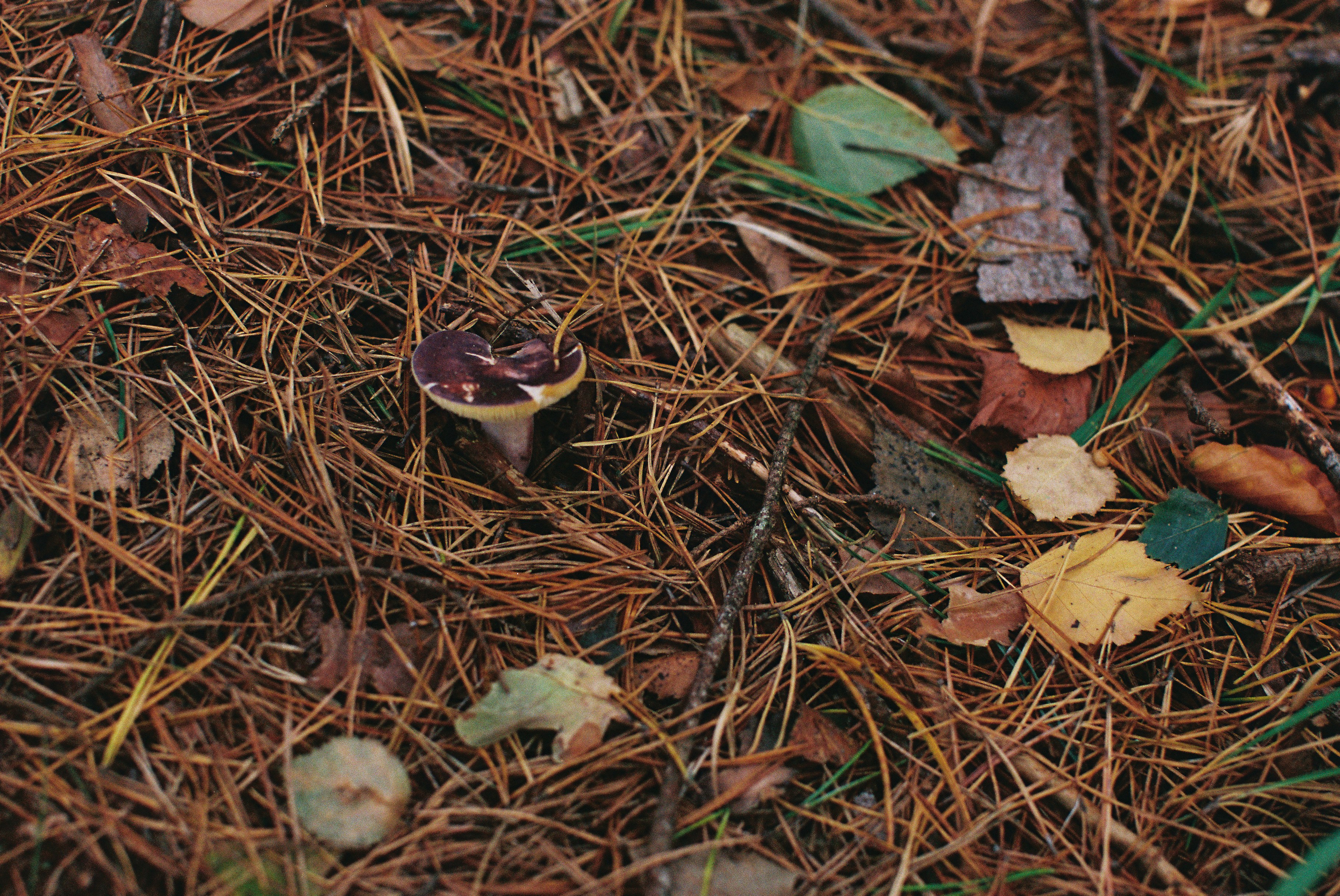 Photo by tanyabarrow