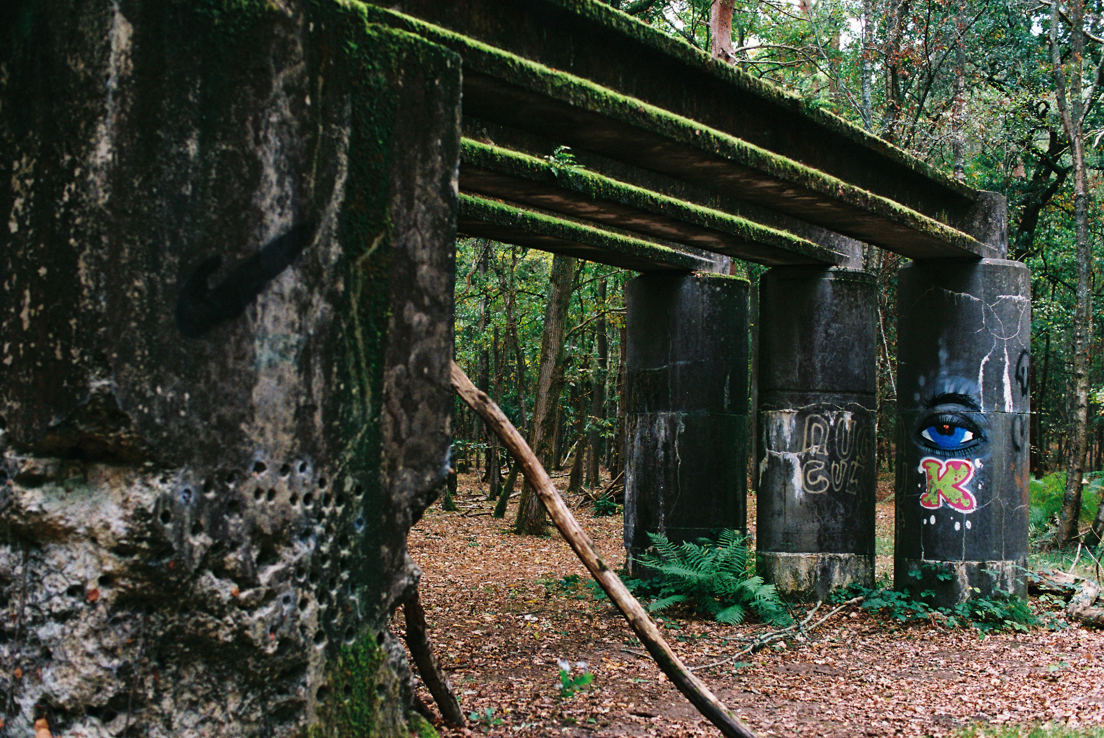 Photo by tanyabarrow