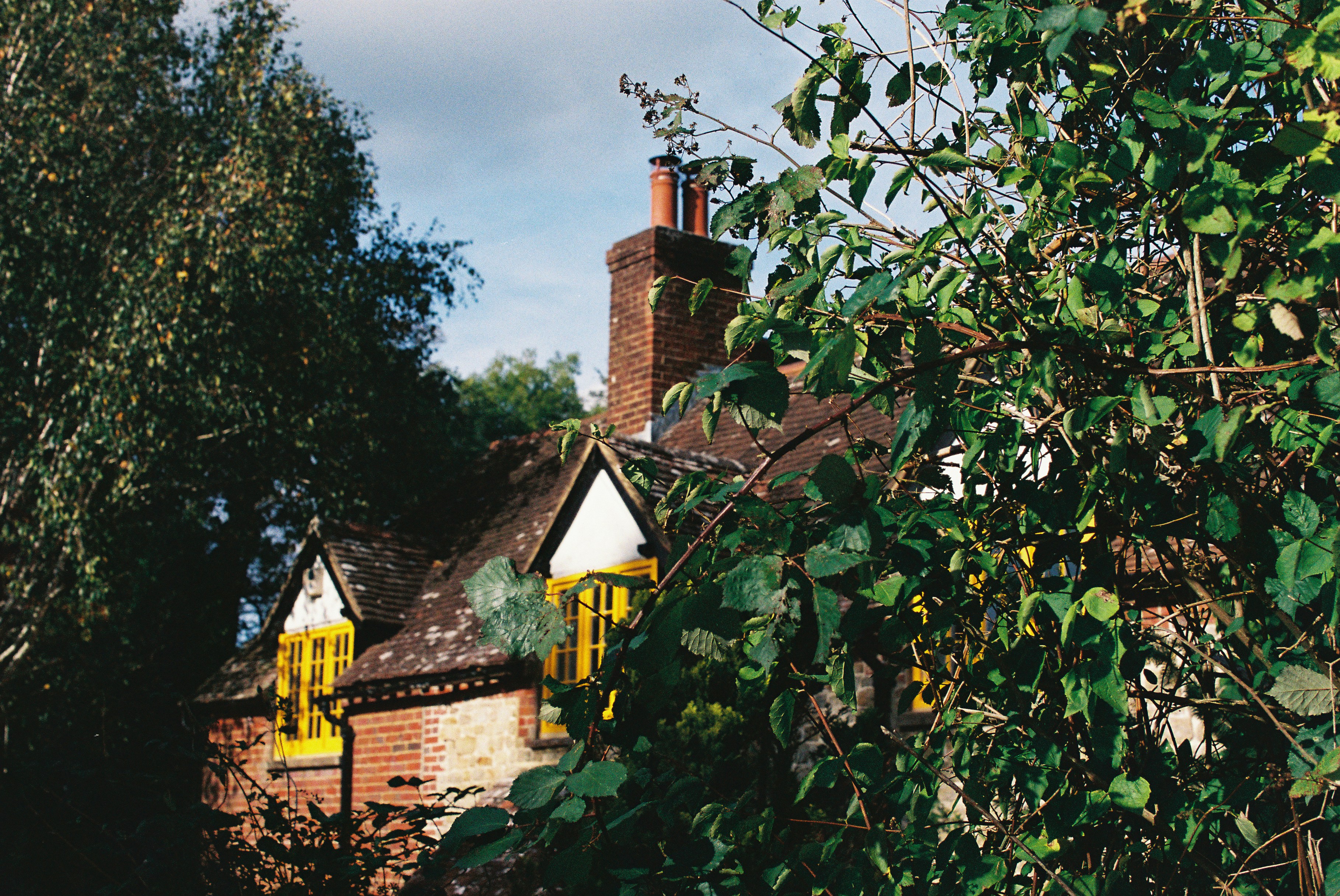 Photo by tanyabarrow