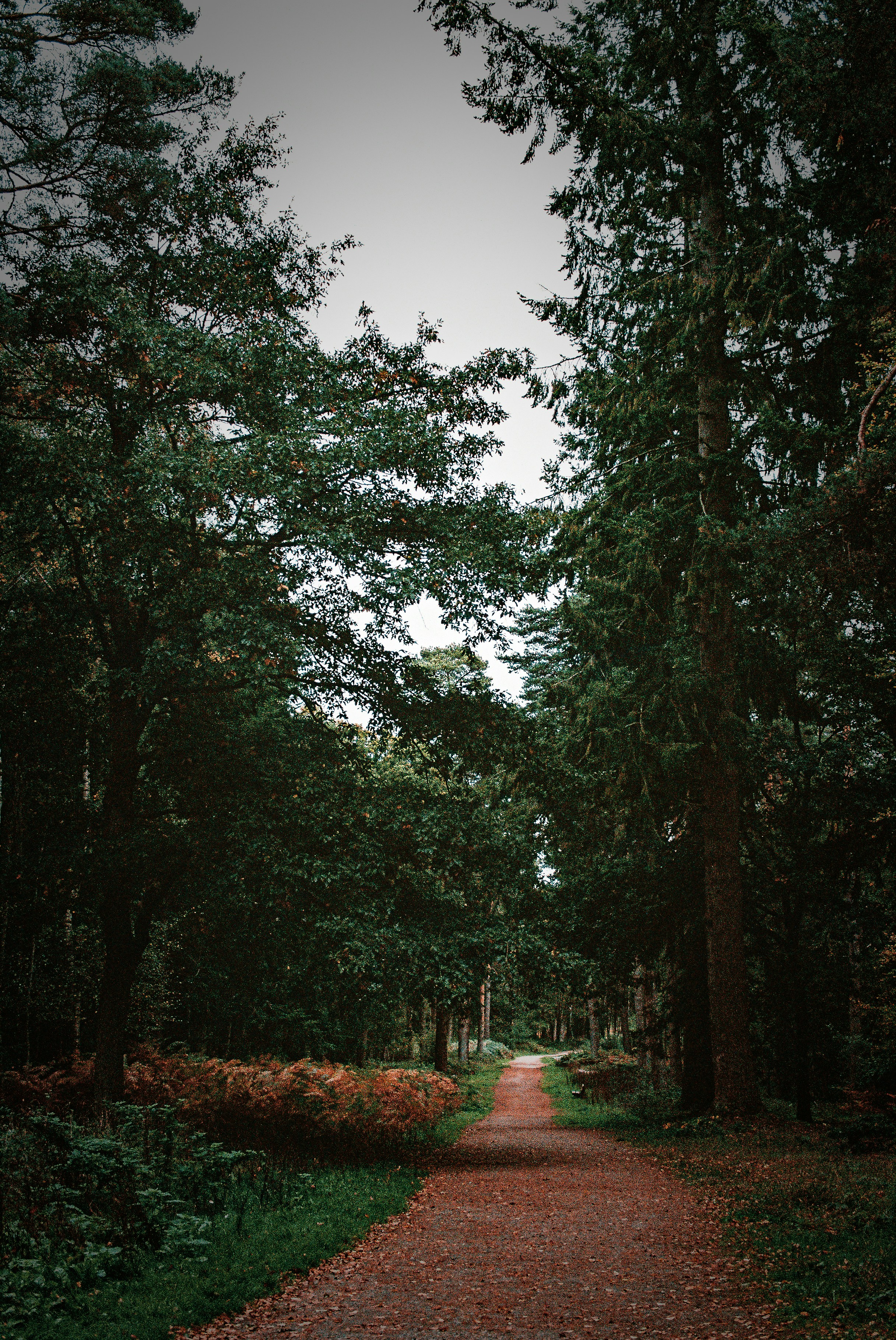 Photo by tanyabarrow