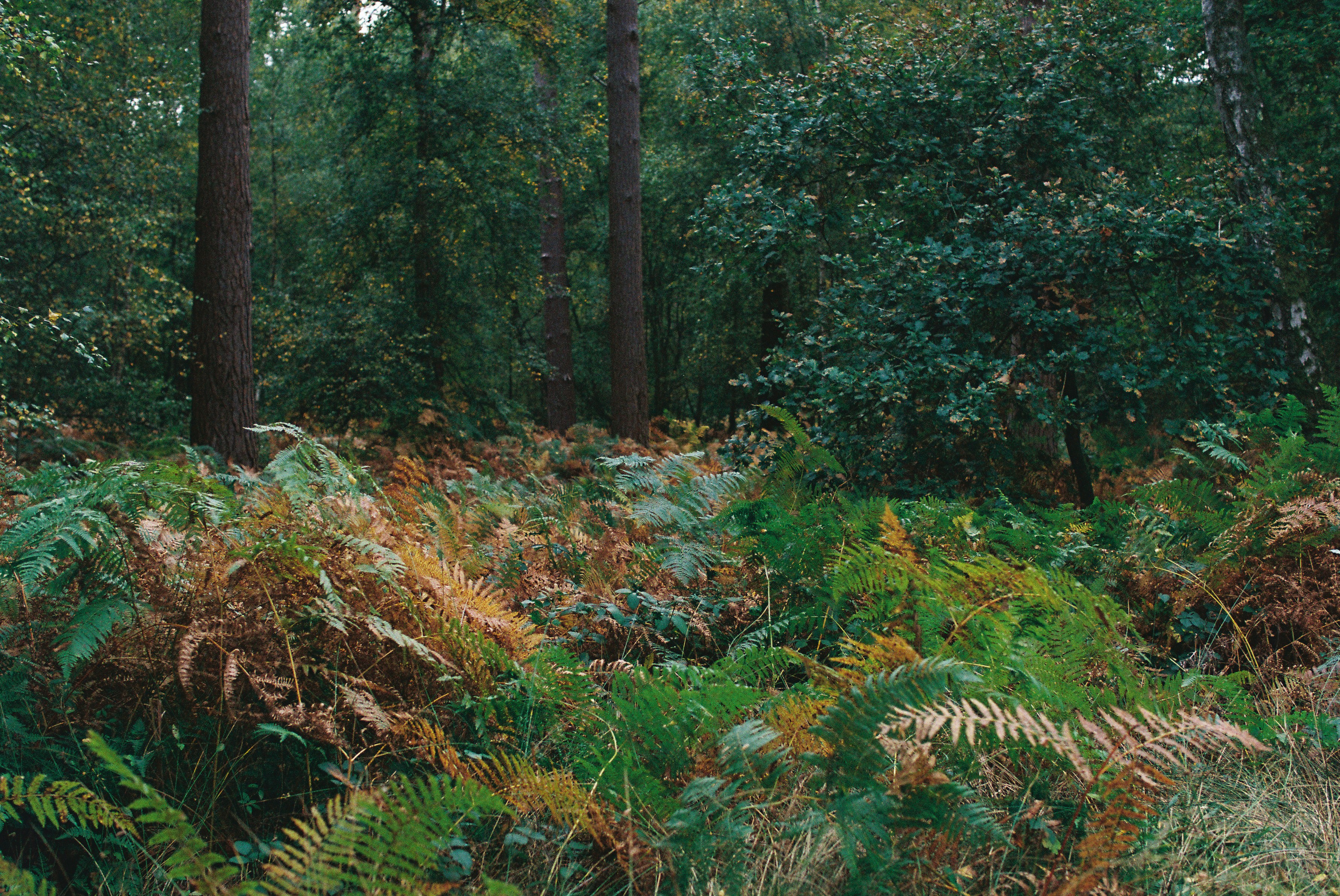 Photo by tanyabarrow