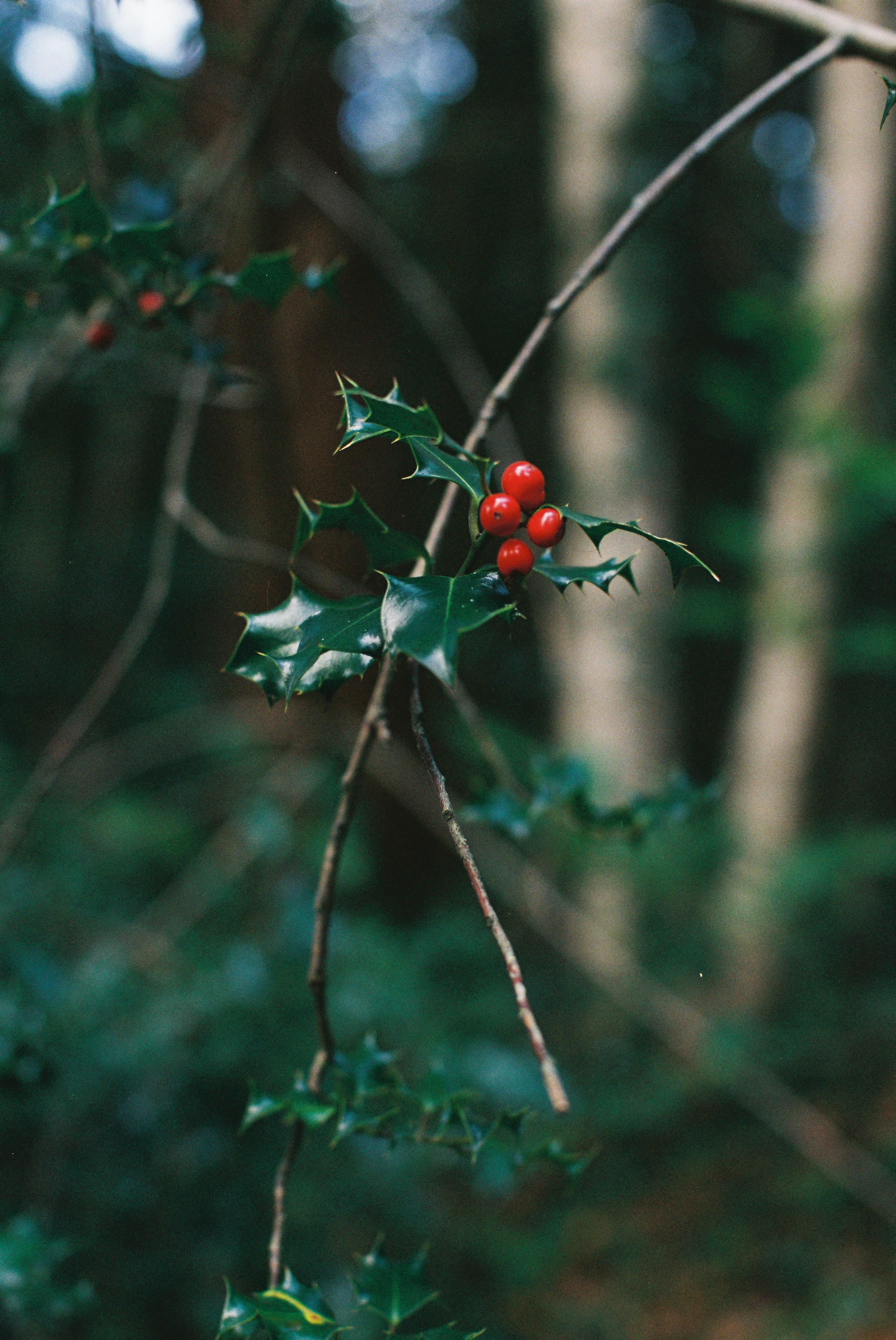 Photo by tanyabarrow