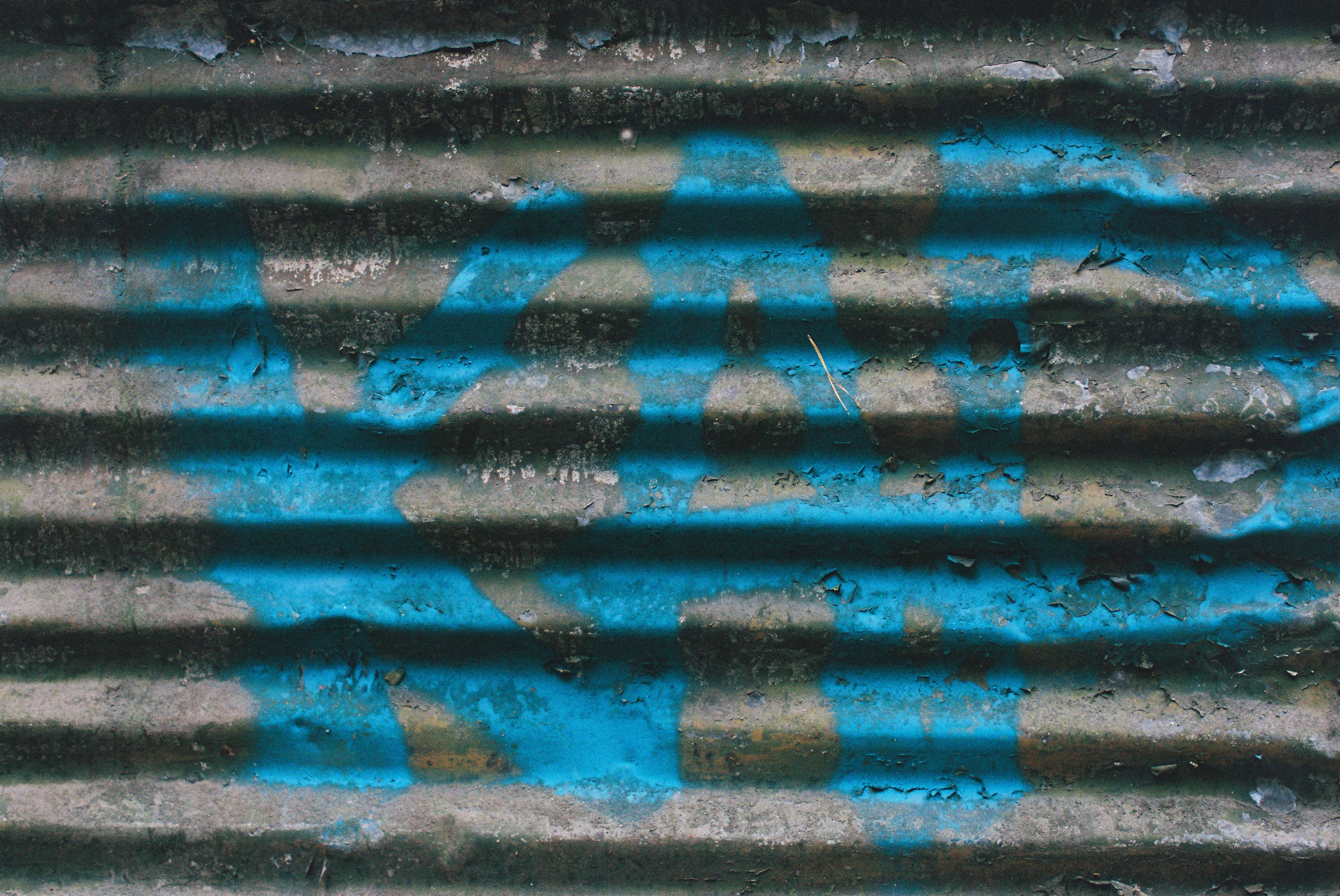 Photo by tanyabarrow